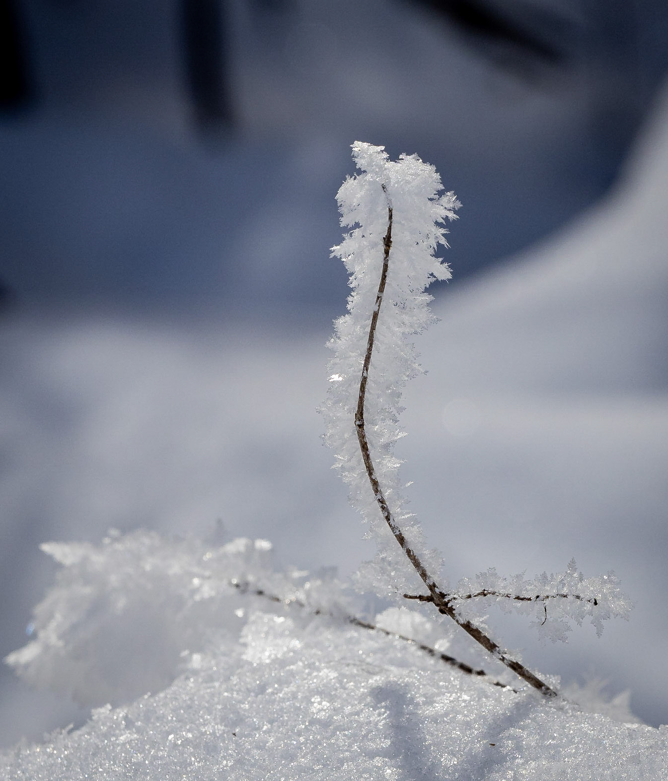 frost formations