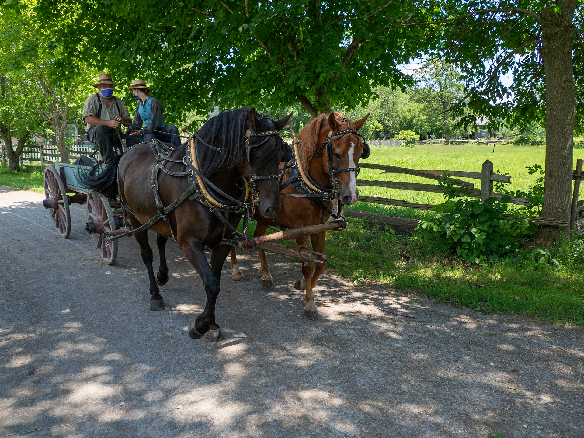 Buckboard wandering the village making deliveries