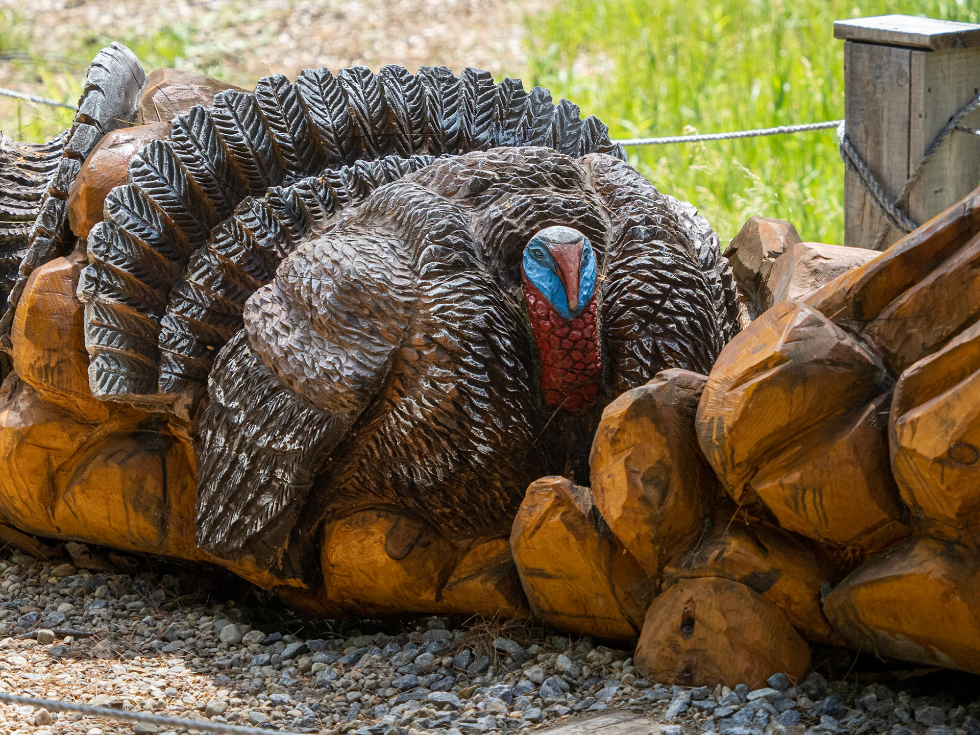 carved wild turkey sculpture