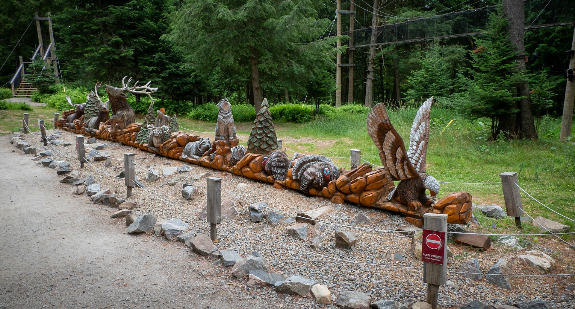 Elk, deer, turkeys, eagle, wolves and moose