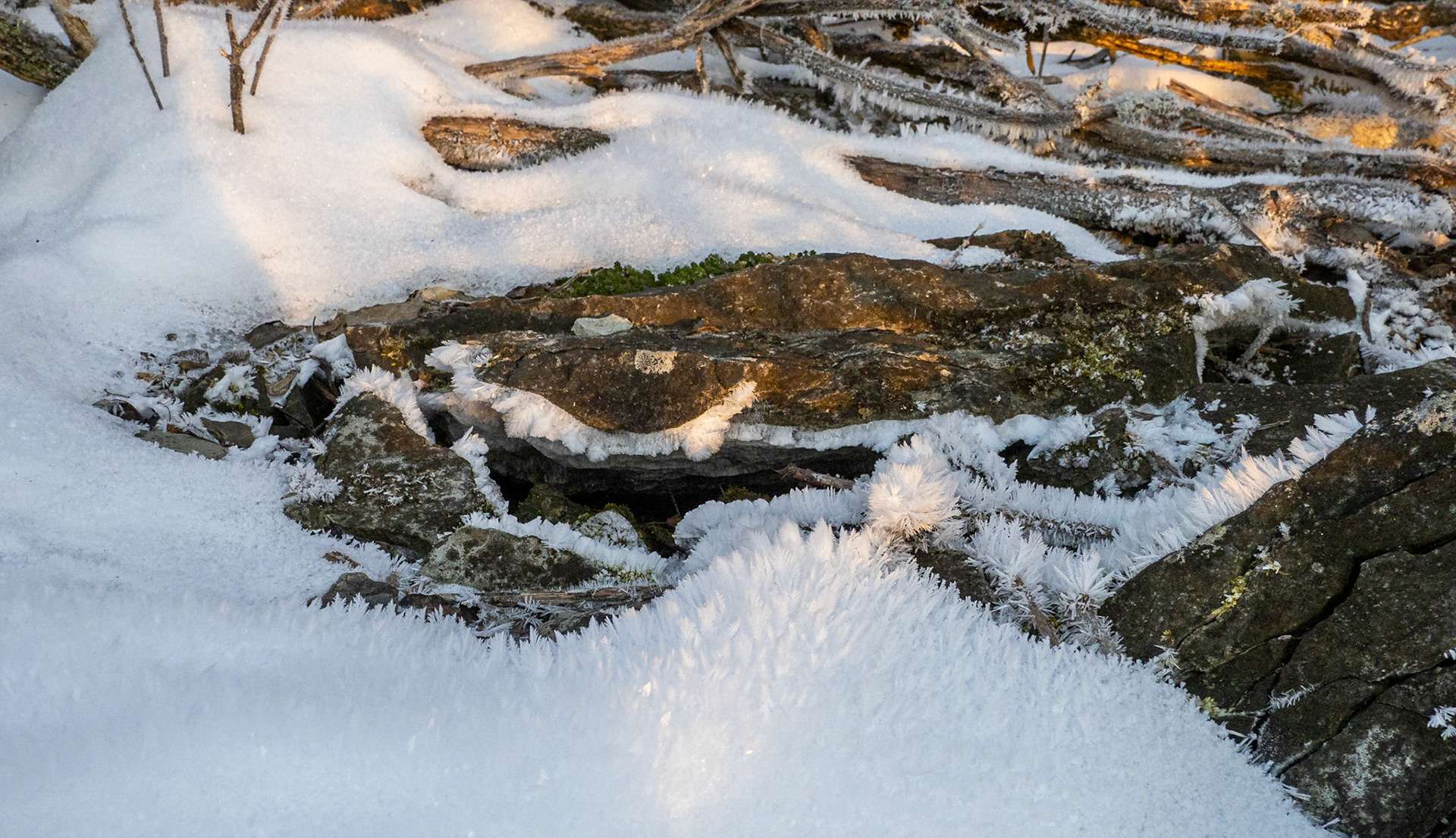 Mid range view in winter