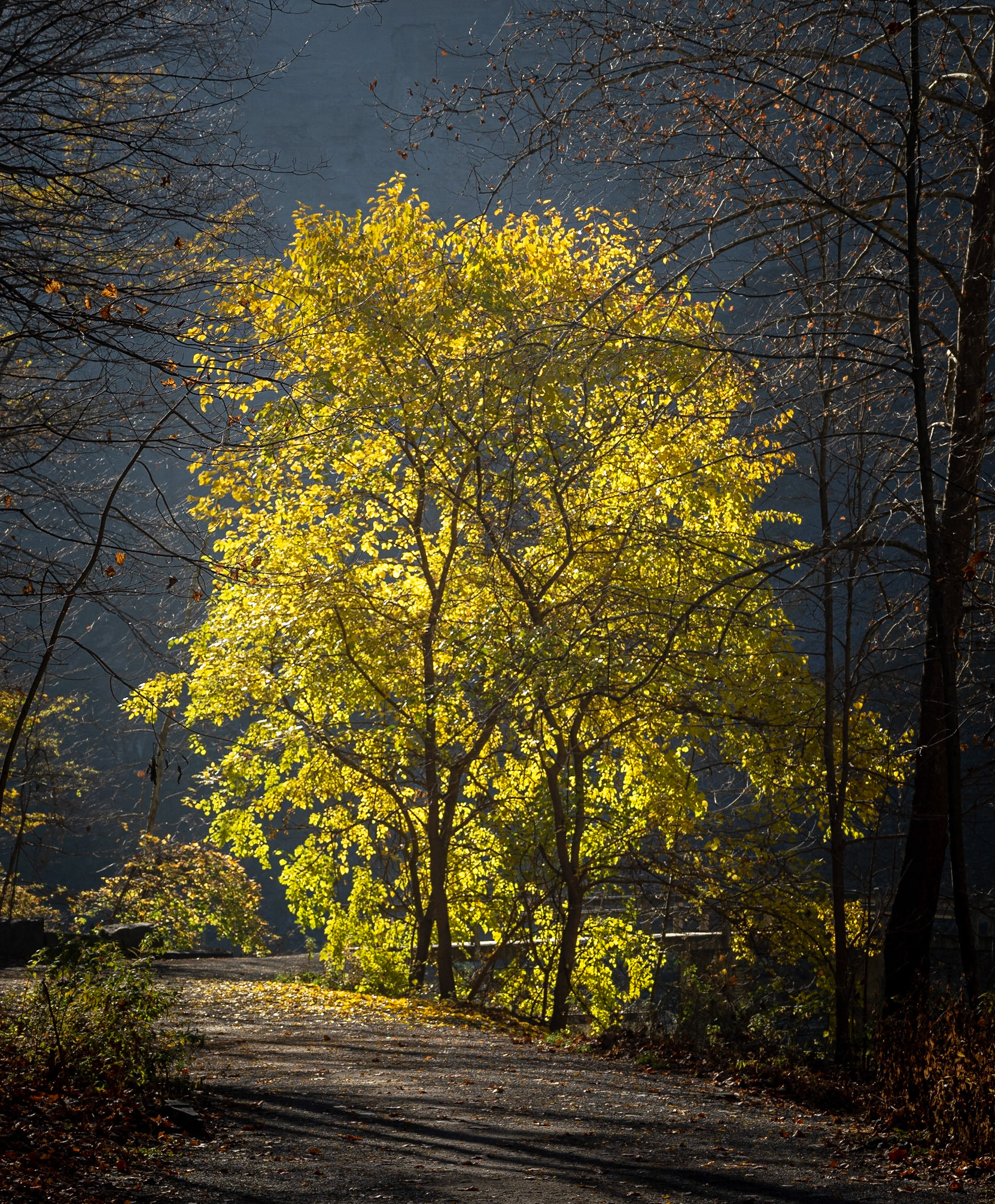Taughannock Falls