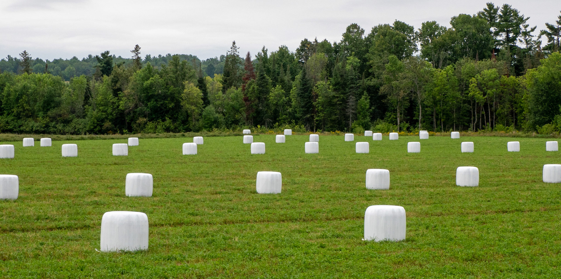 hay bales