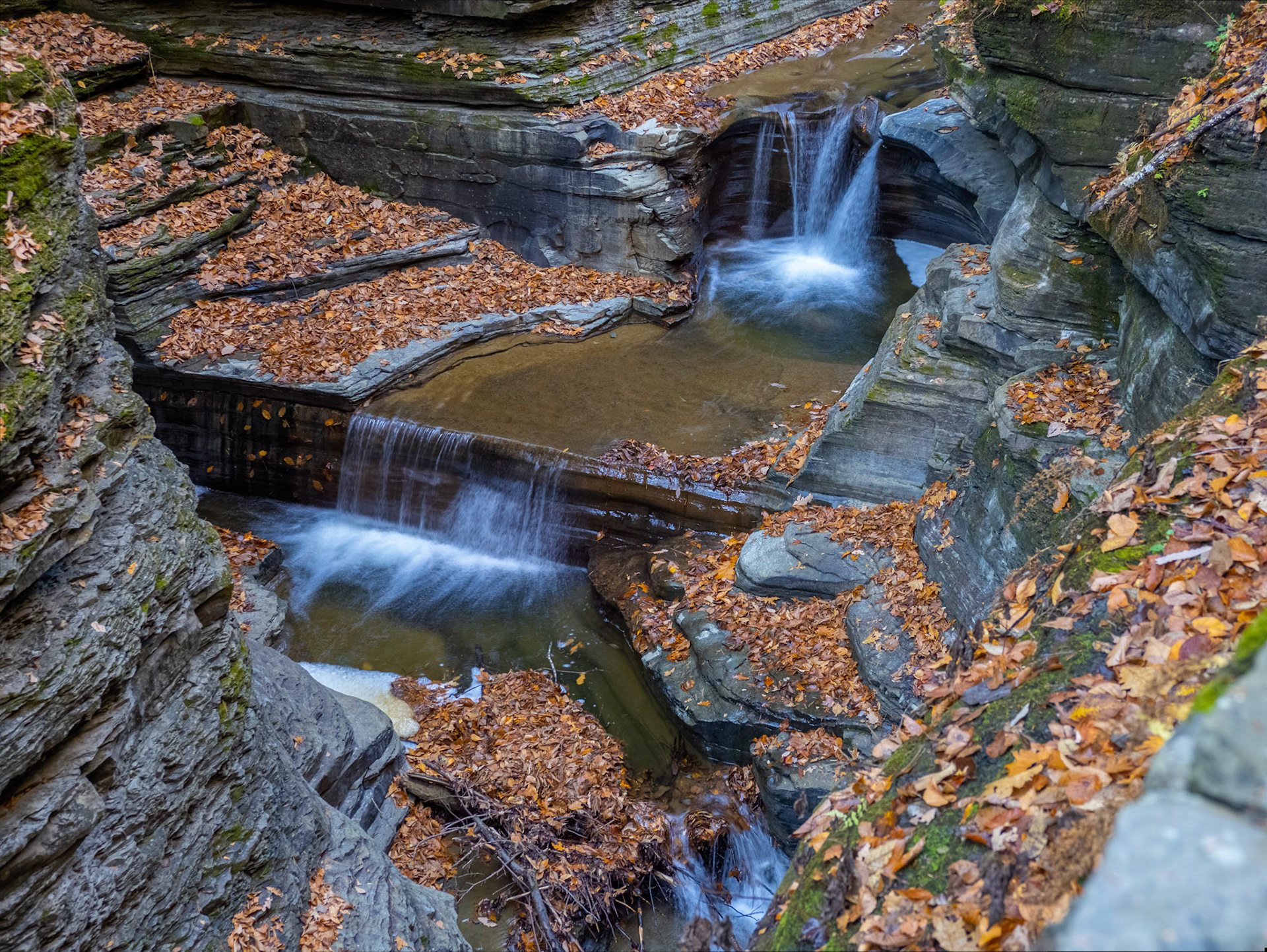 Watkins Glen
