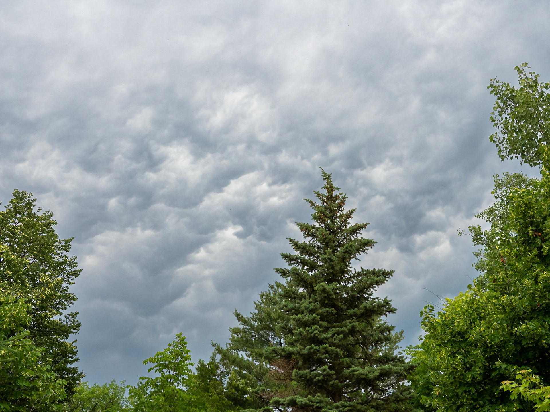 storm clouds