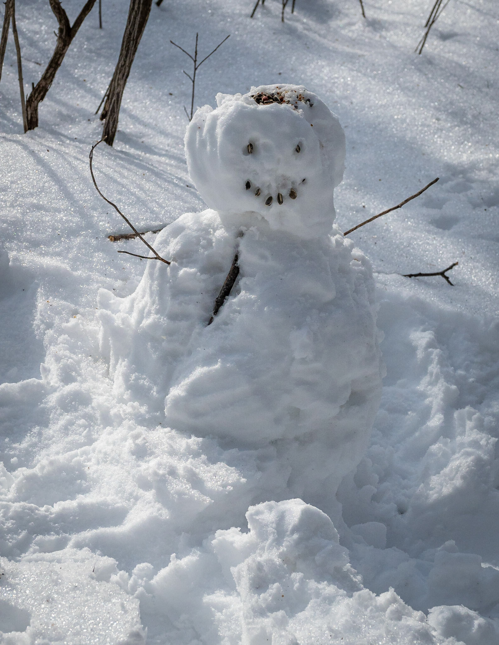 Snowman with built-in bird feeder on head and face
