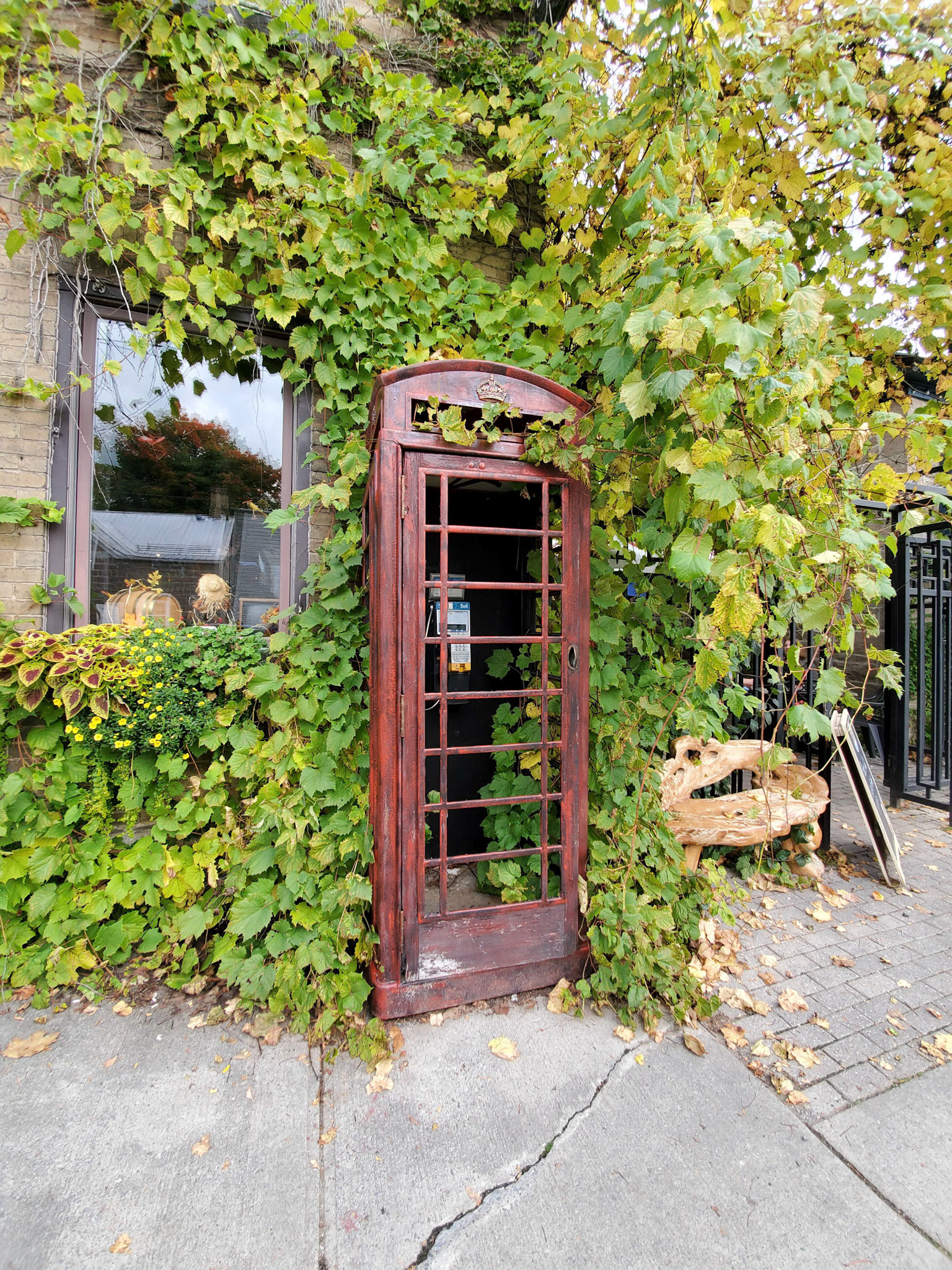 Vine covered, no glass, but the phone works