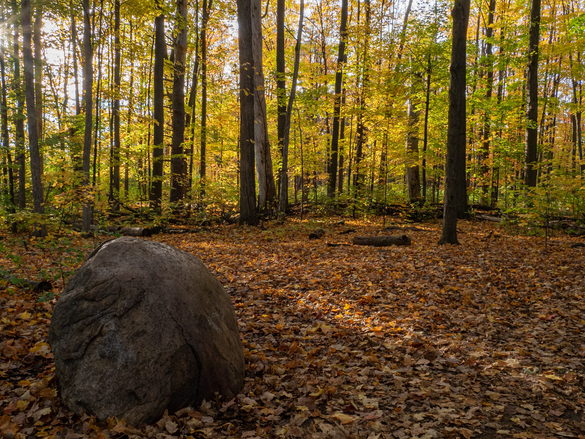 Late fall colours at Mud Lake