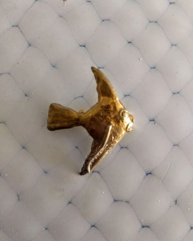 Brooch scalar