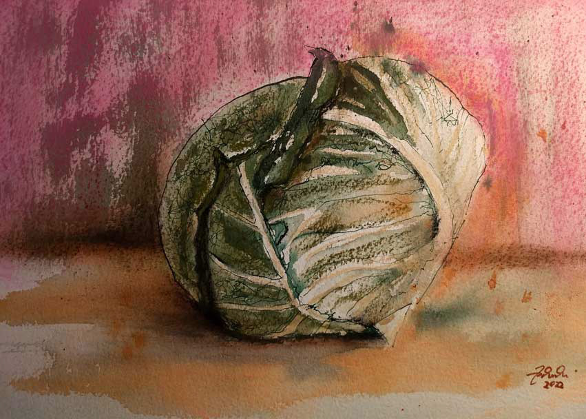 Cabbage