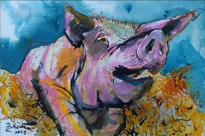Miss funny pig