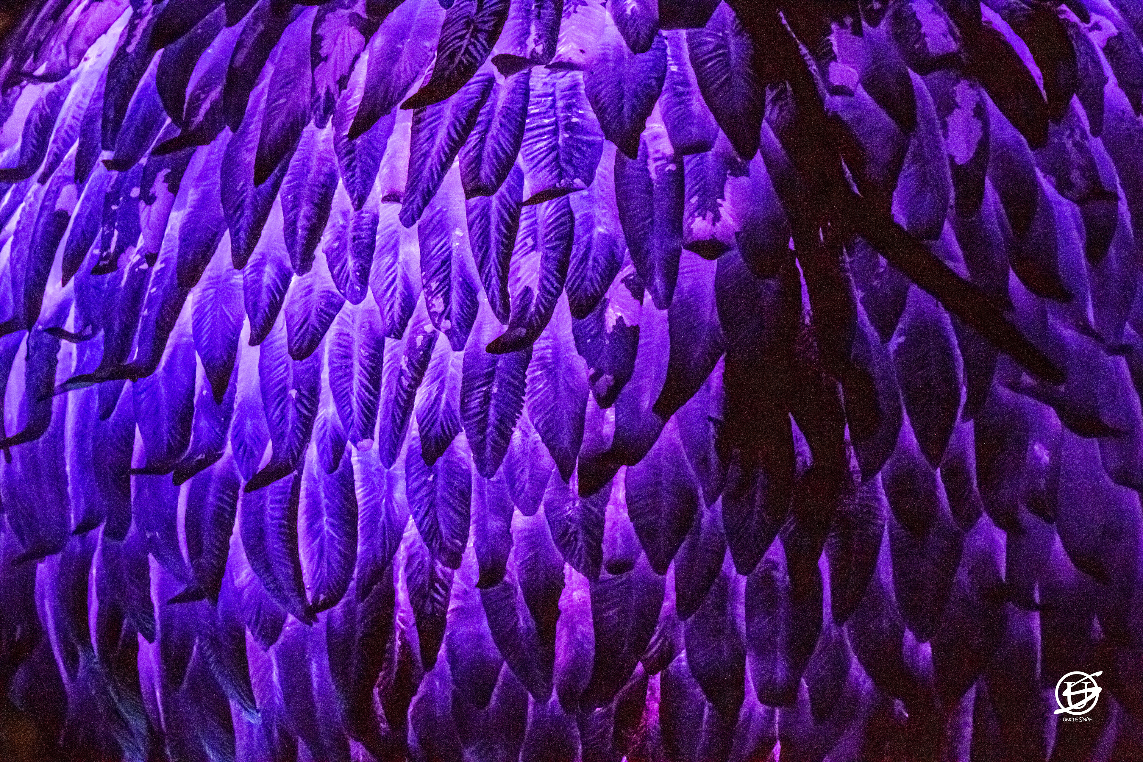 103