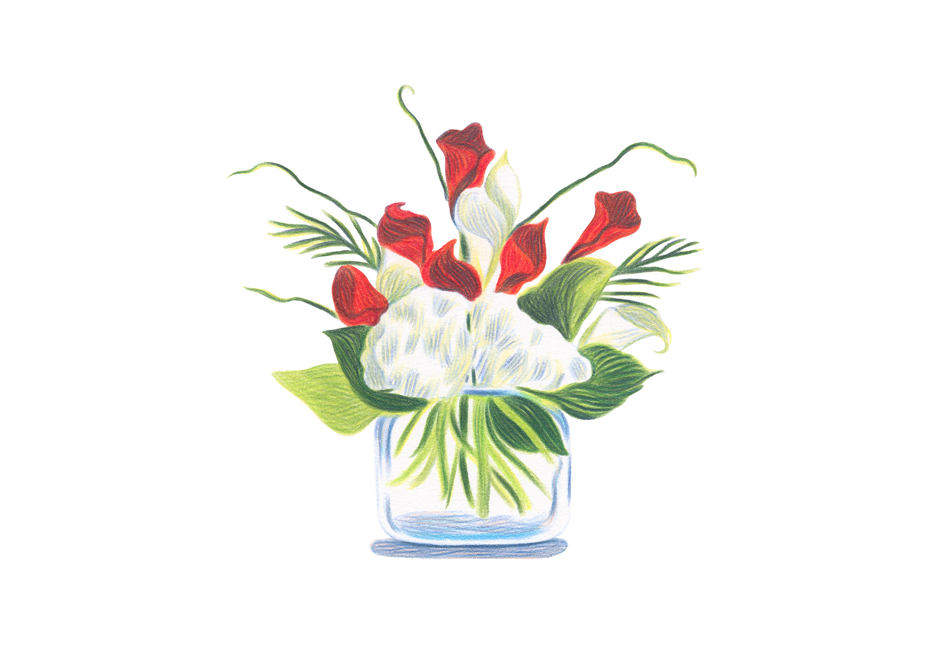 new york times caroline peron dessin crayon de couleur