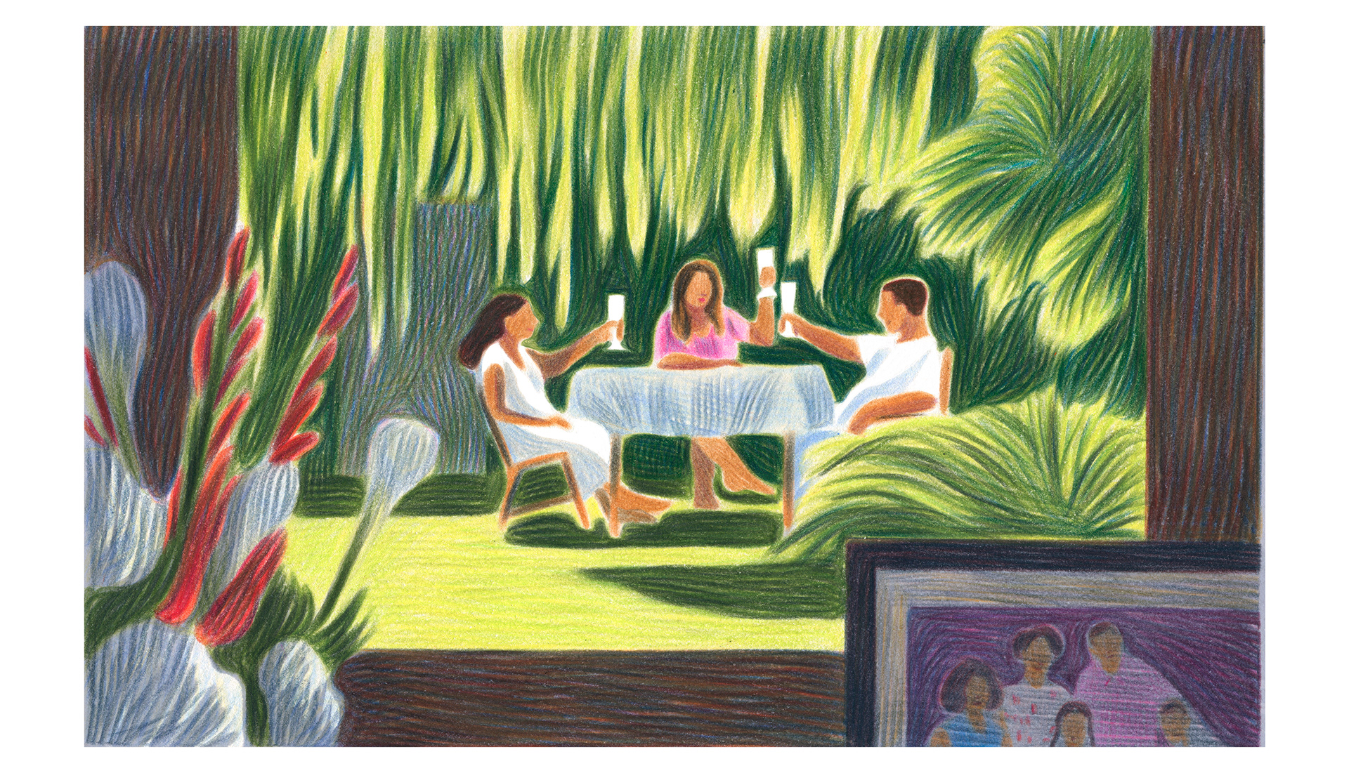 new york times caroline peron dessin crayon de couleur