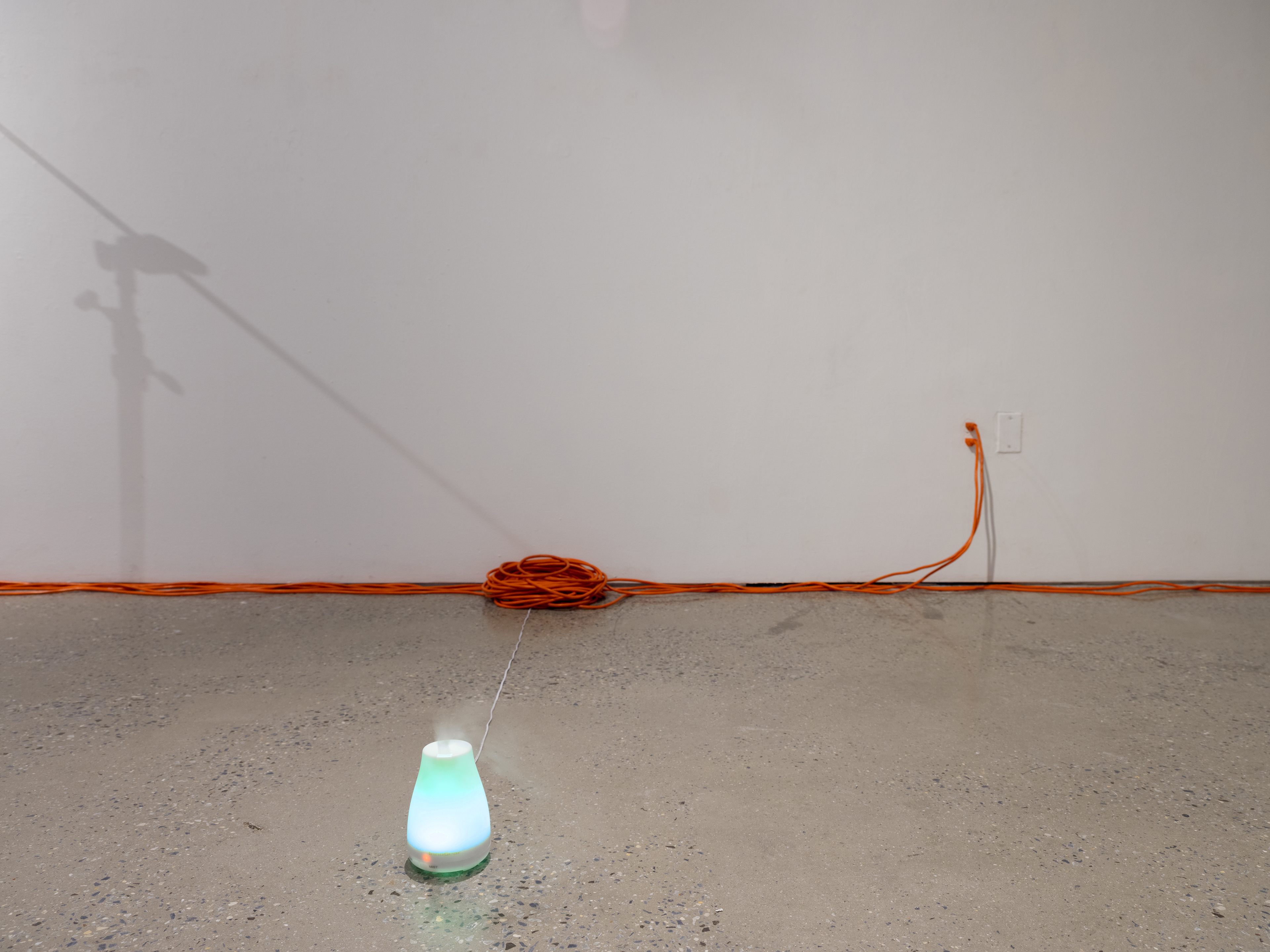 'Alveolus 1 (Fool Proof Sob Story)' materials: oil diffuser, ‘Gutz N Glory’ hot sauce, glands, power grid.