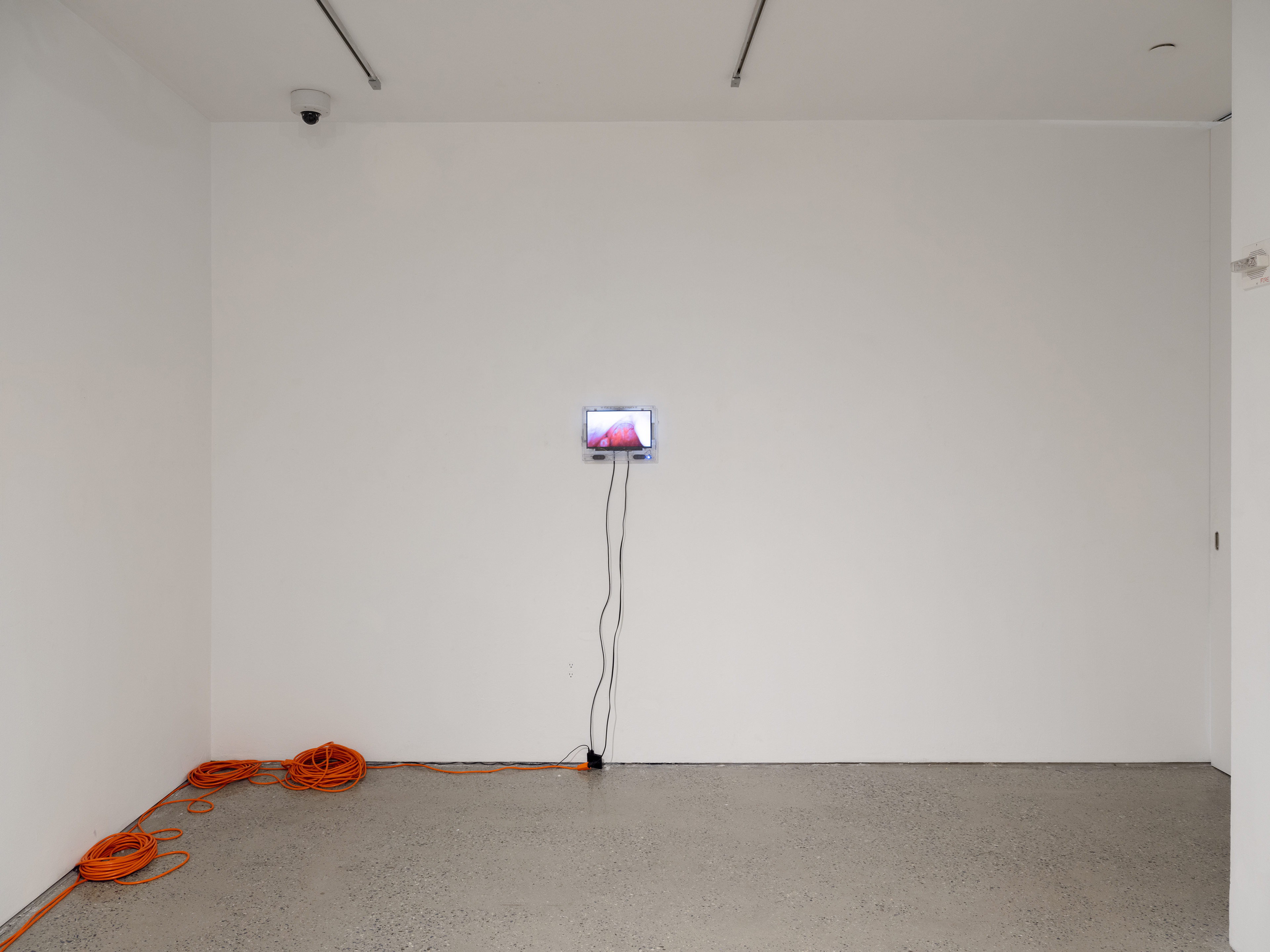 'Alveolus 2 (The Invisible Part)' materials: prison issue television, tampering, single channel video, steganographically hidden audio file, security camera, media player, microsd chip, power grid.