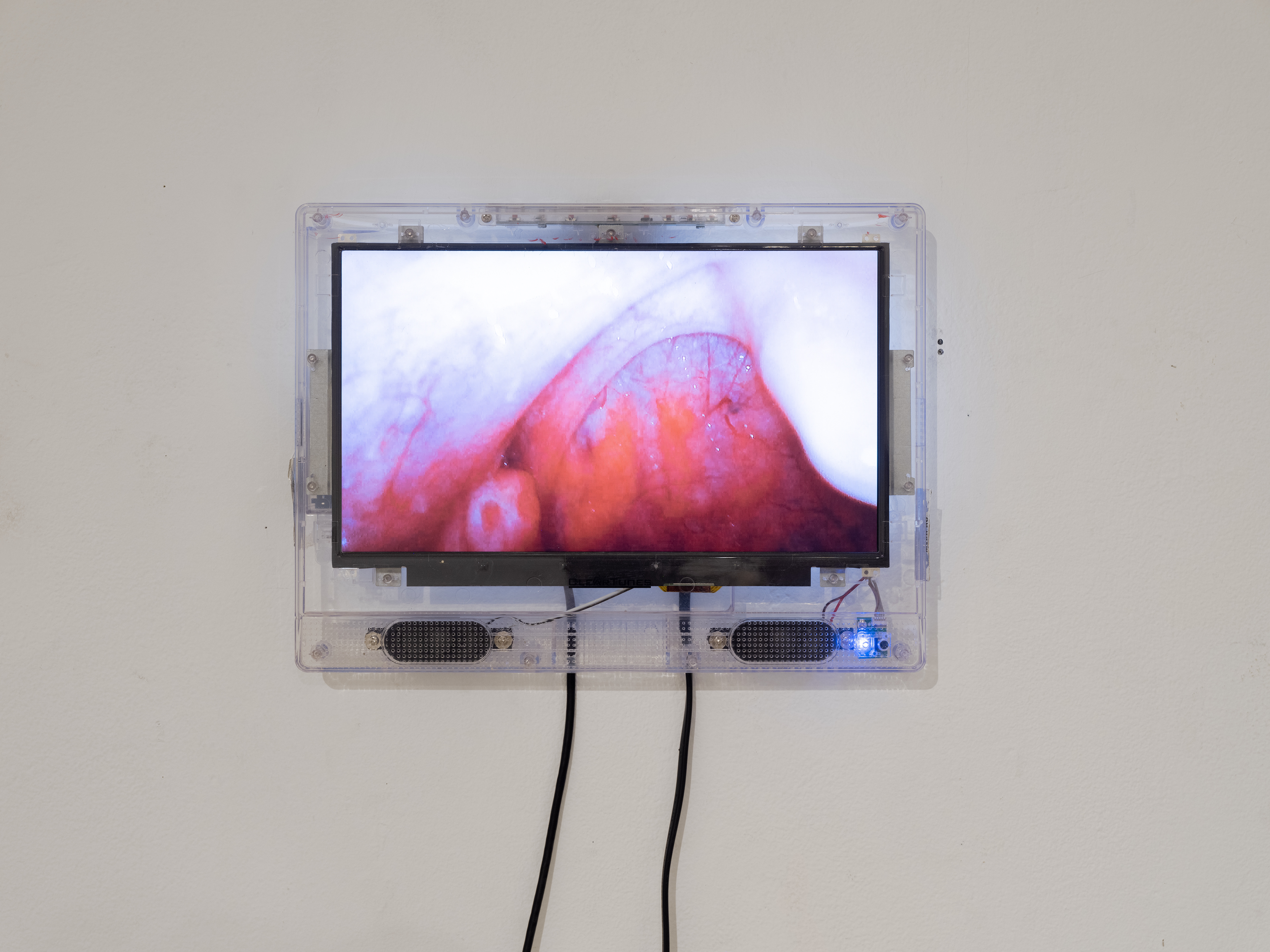 'Alveolus 2 (The Invisible Part)' materials: prison issue television, tampering, single channel video, steganographically hidden audio file, security camera, media player, microsd chip, power grid.