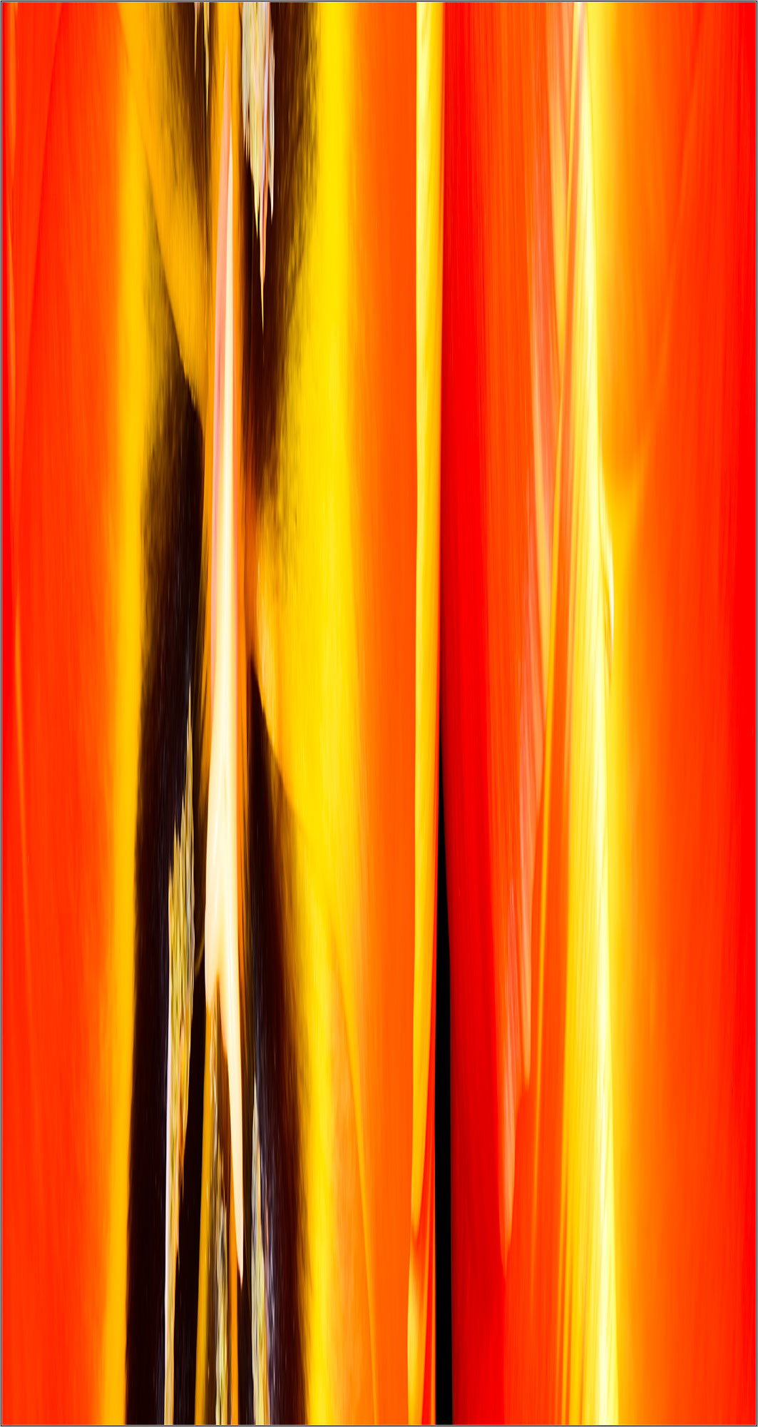 Torchlight Illuminated Tulip - Steffen Freiling - The Color Codes - Large Format Print - Limited Edition