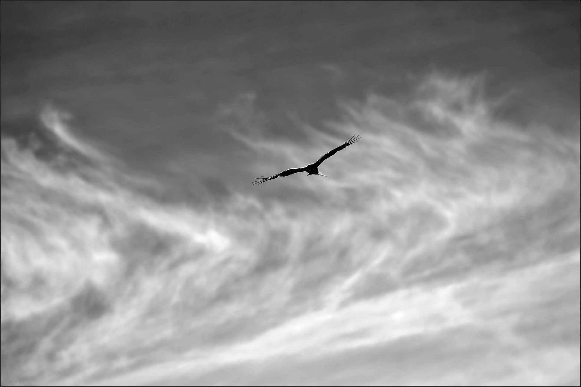 Mother Nature's Paintings In The Sky - Steffen Freiling - Southern Skies - Large Format Print - Limited Edition