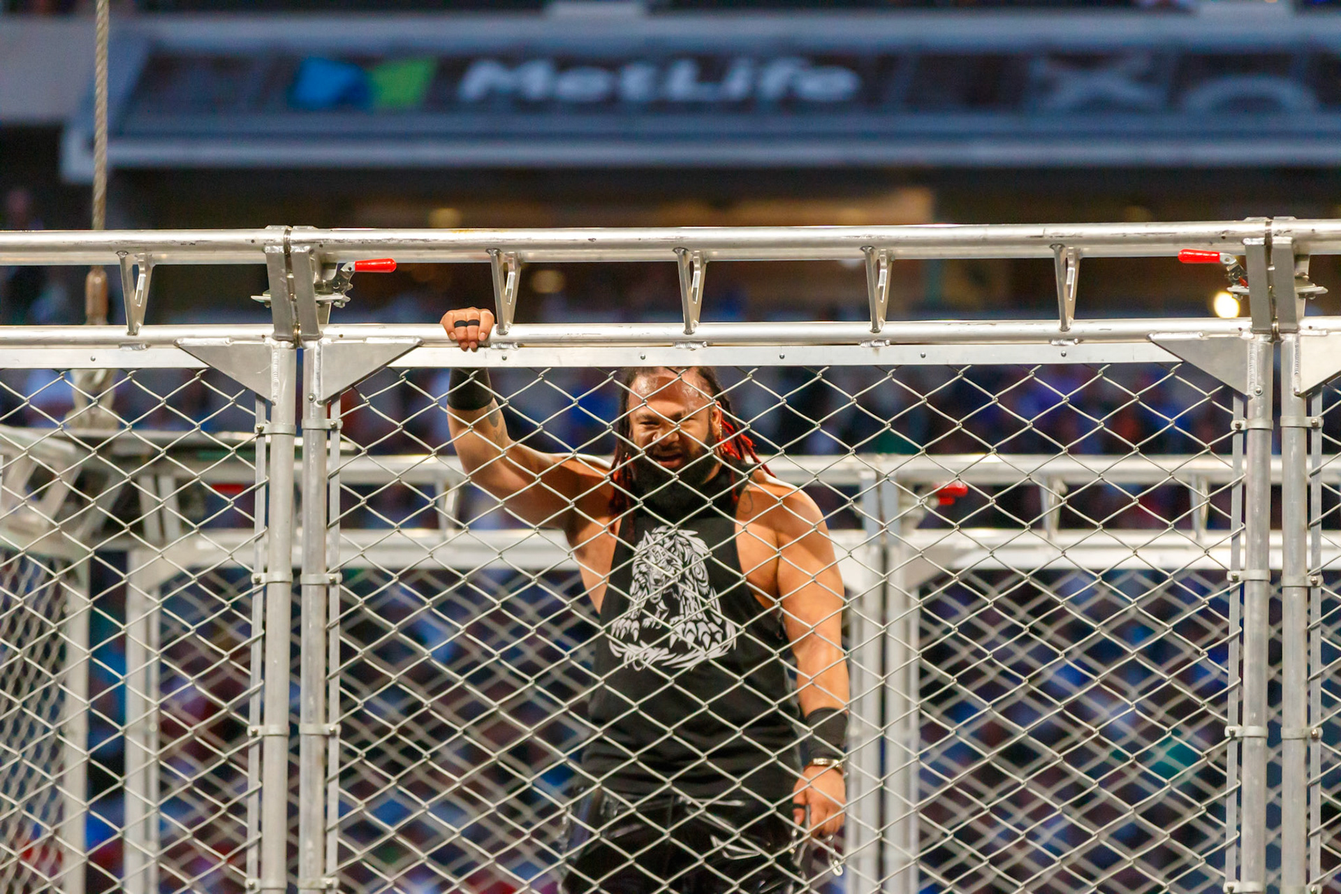 WWE Summerslam Day 2