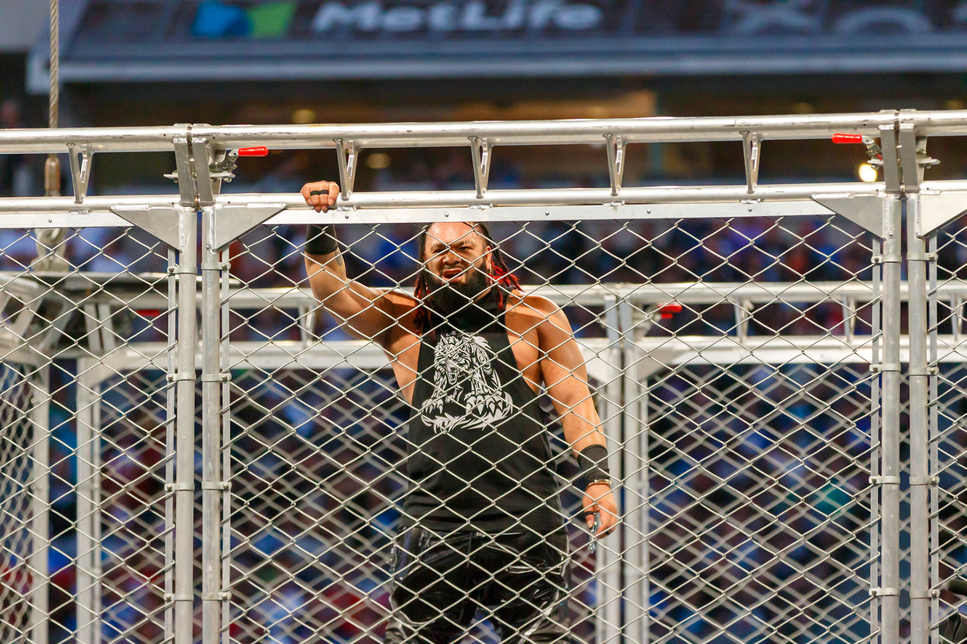 WWE Summerslam Day 2