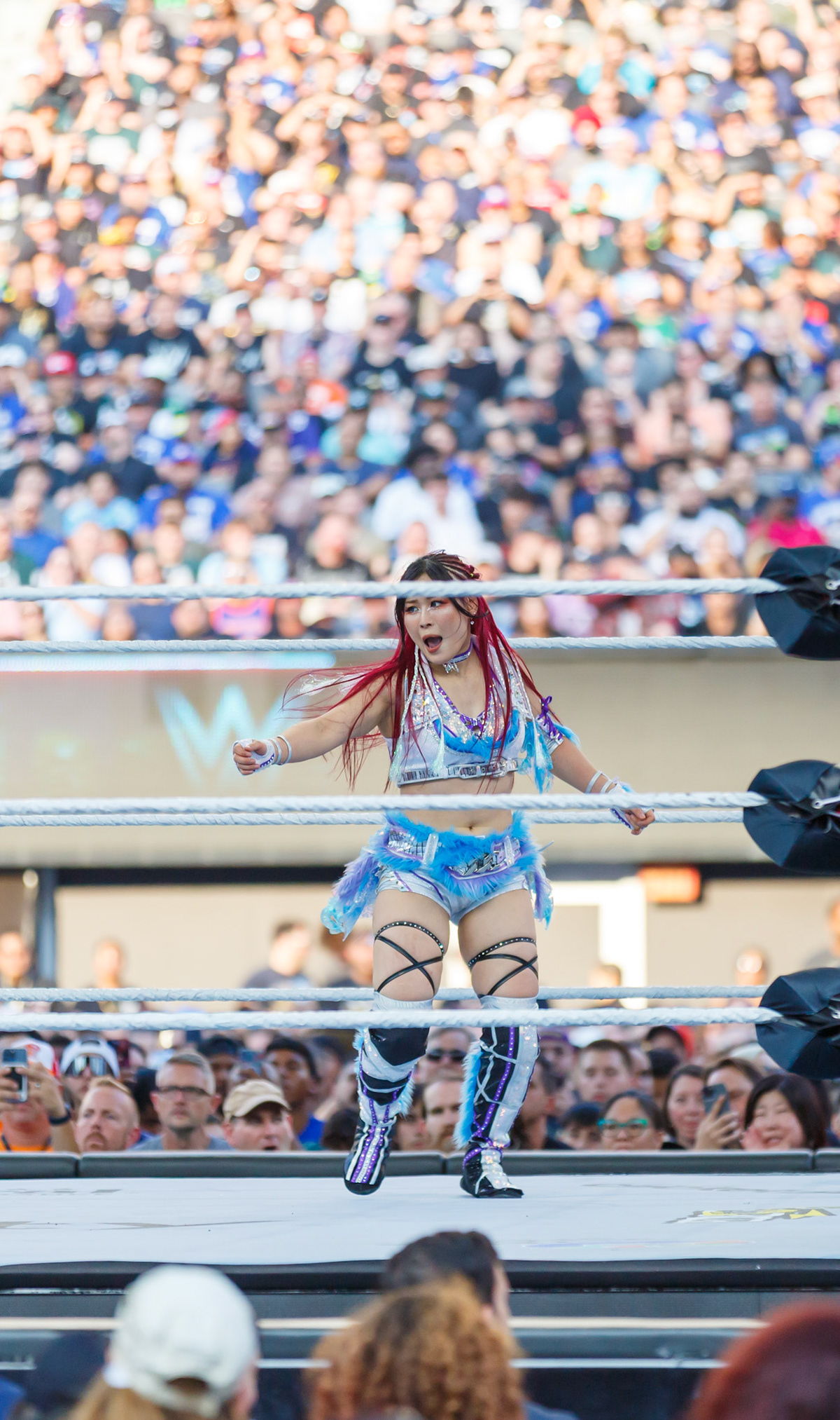 WWE Summerslam Day 2