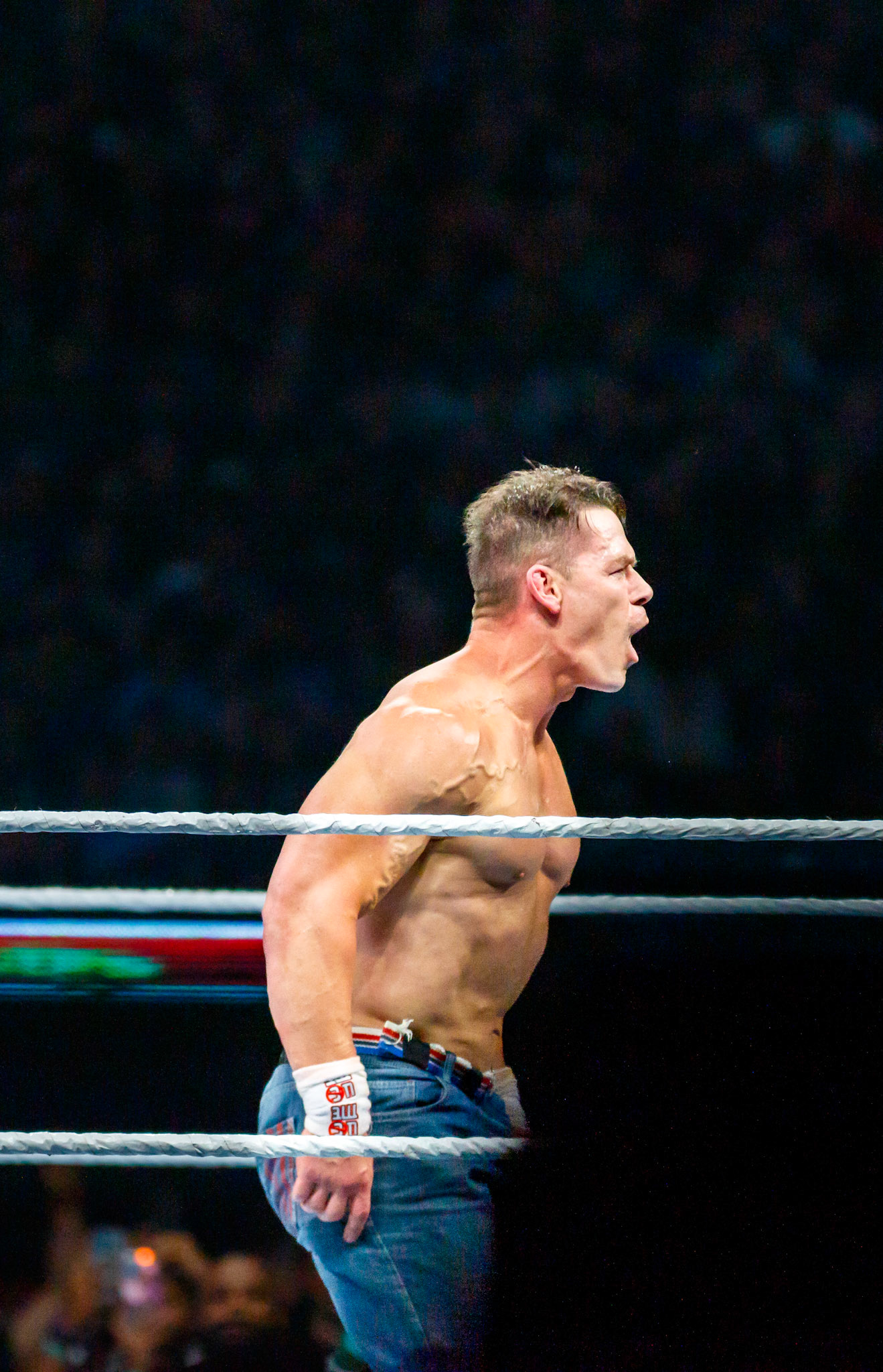 WWE Summerslam Day 2