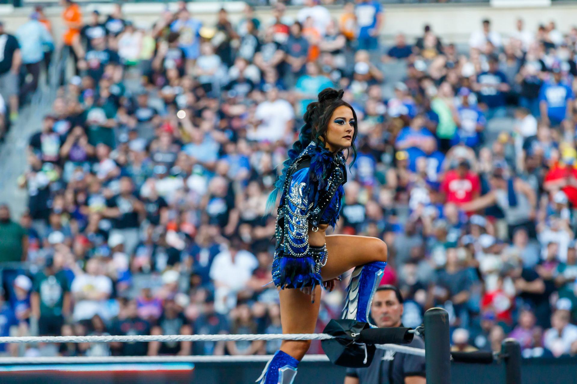WWE Summerslam Day 2