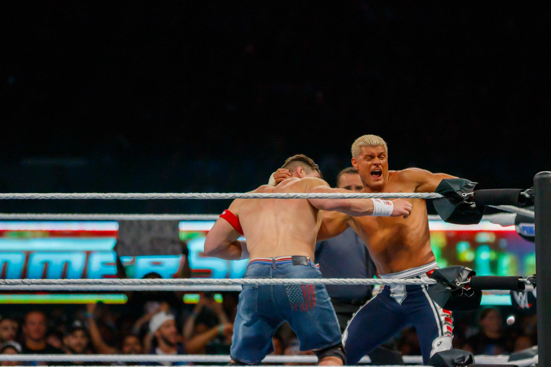 WWE Summerslam Day 2