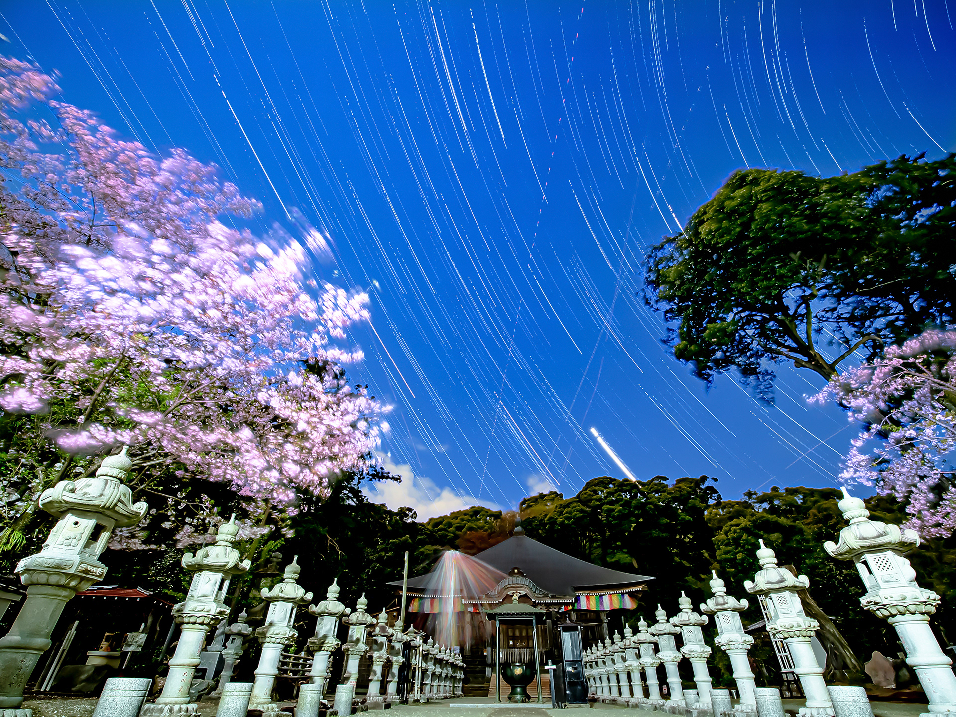 Chokokuzi temple, Atsugi, Apr 2020