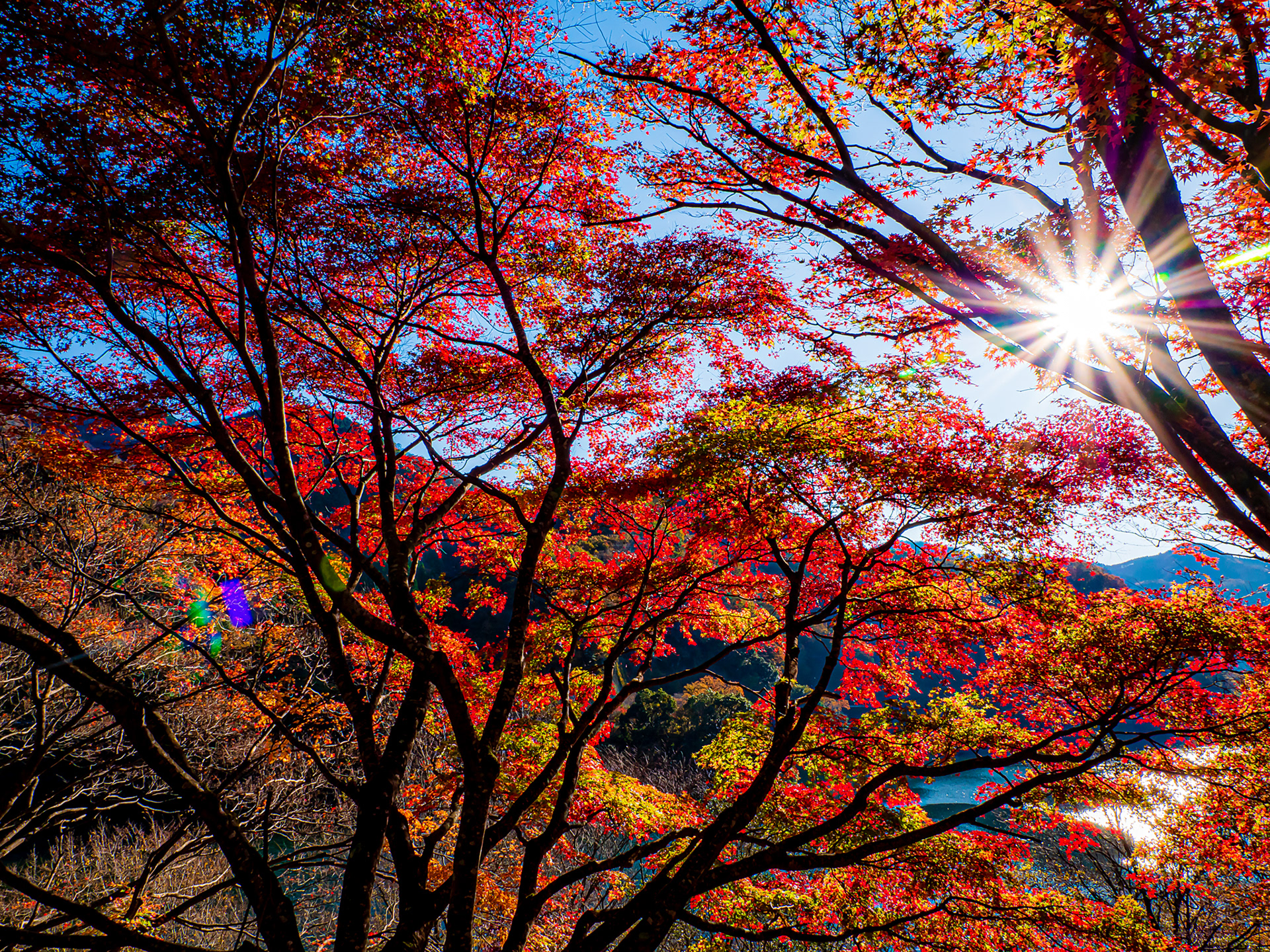Tanzawa-Lake, Kanagawa Prefecture, Nov 2020