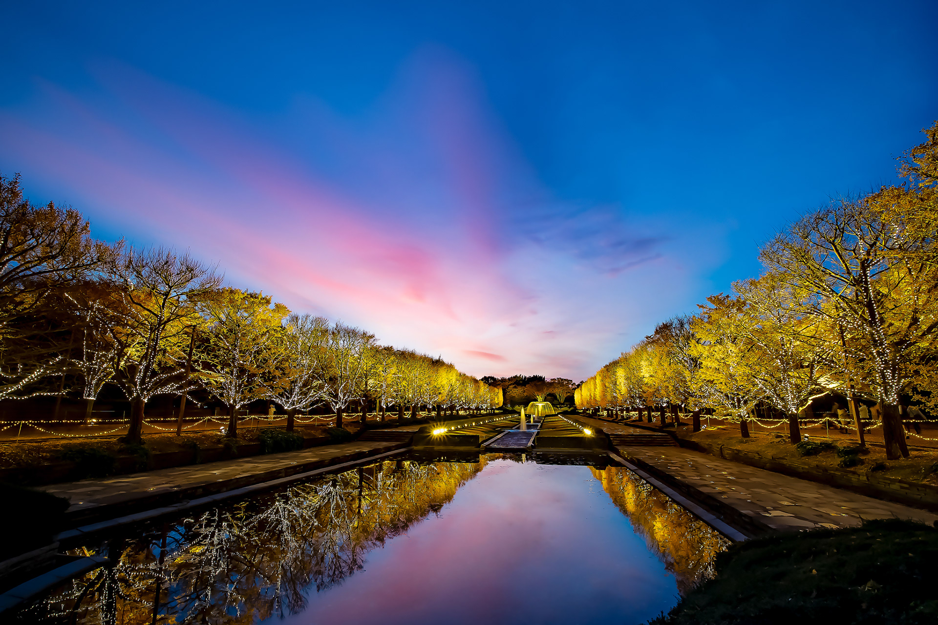 Showakinen-park, Tokyo, 25 Nov 2018