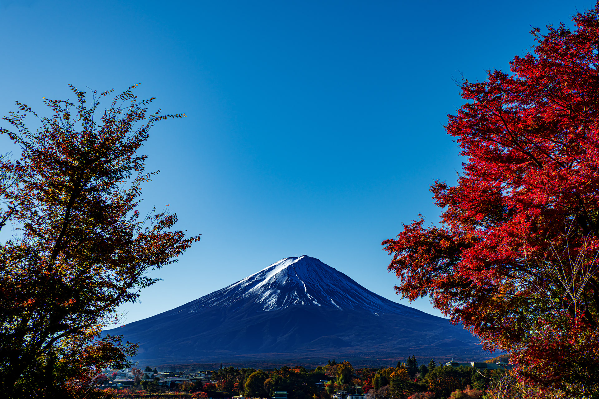 Kawaguchi-lake, Yamanashi Prefecture, Nov 2019