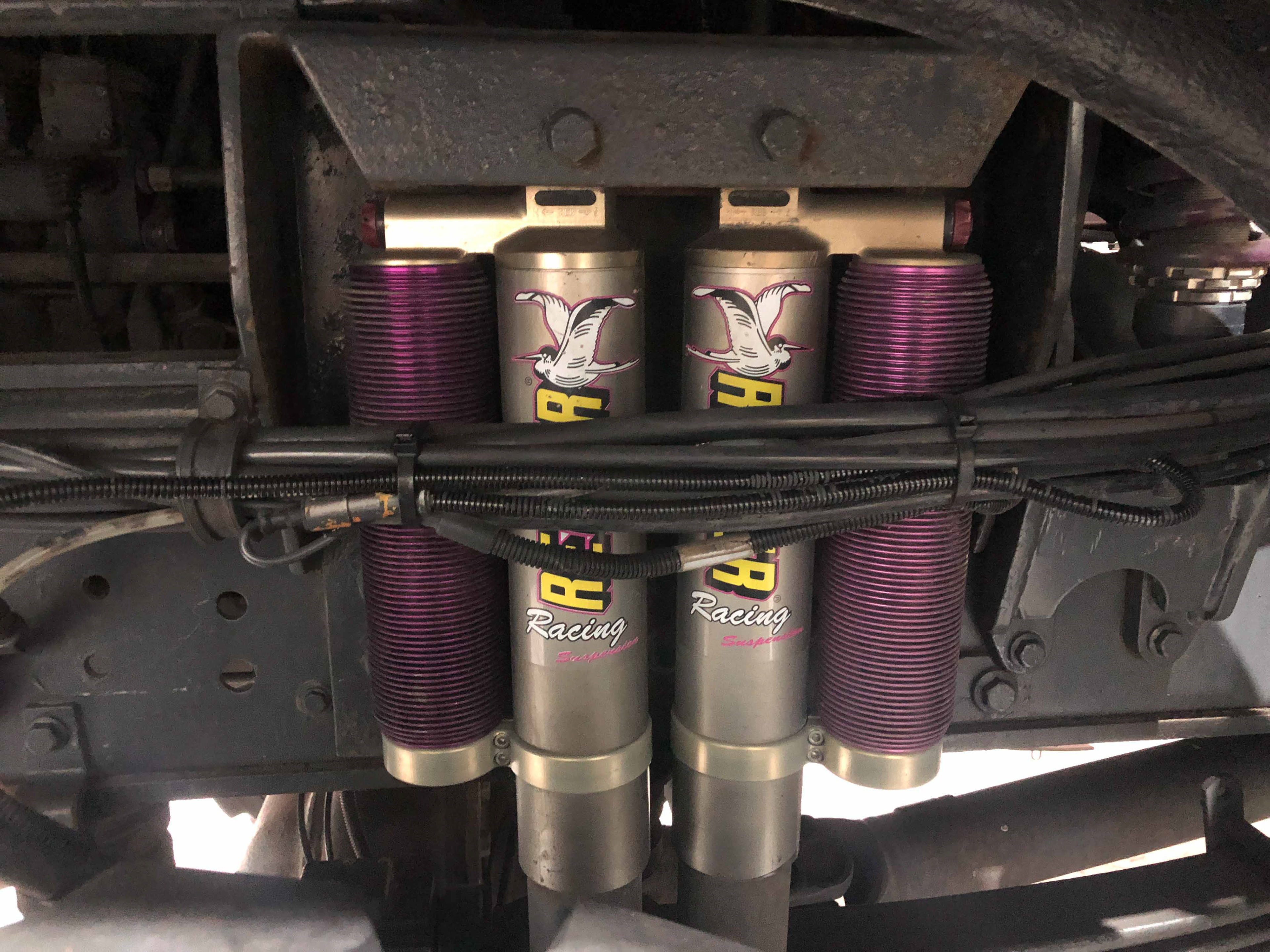 Double Reiger suspension in the front