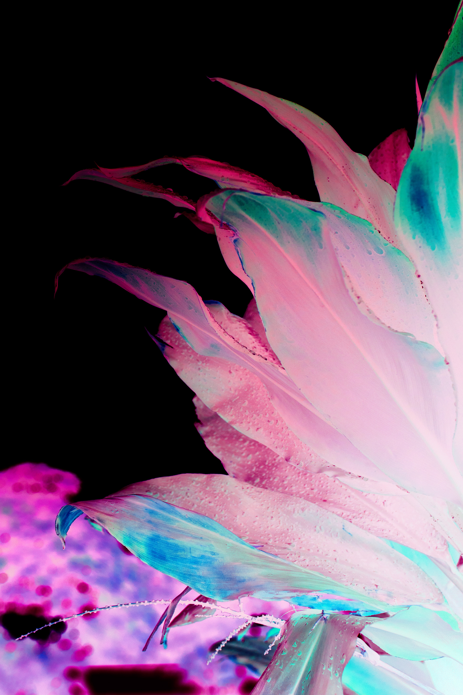 01 B I O L Ü M I N E S C E N T