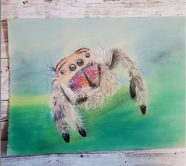 Jumping Spider
