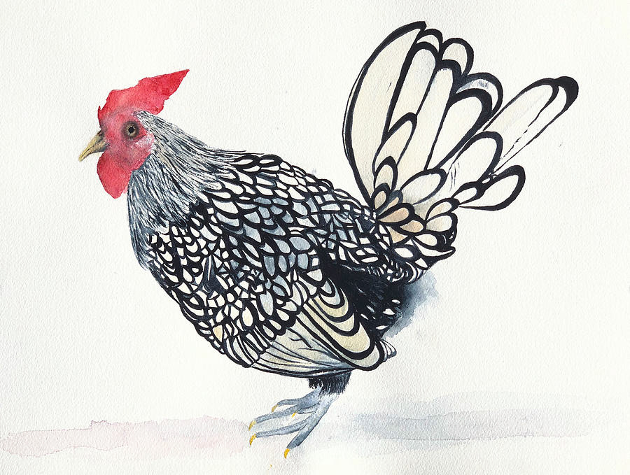 Oviedo Chicken