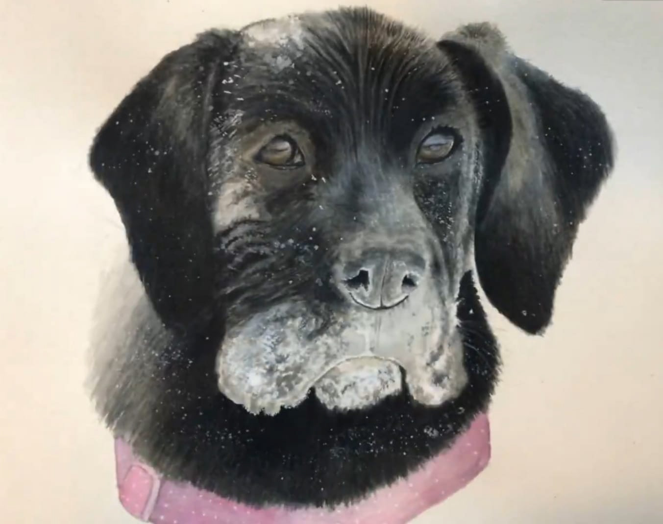 Custom Pet Portrait