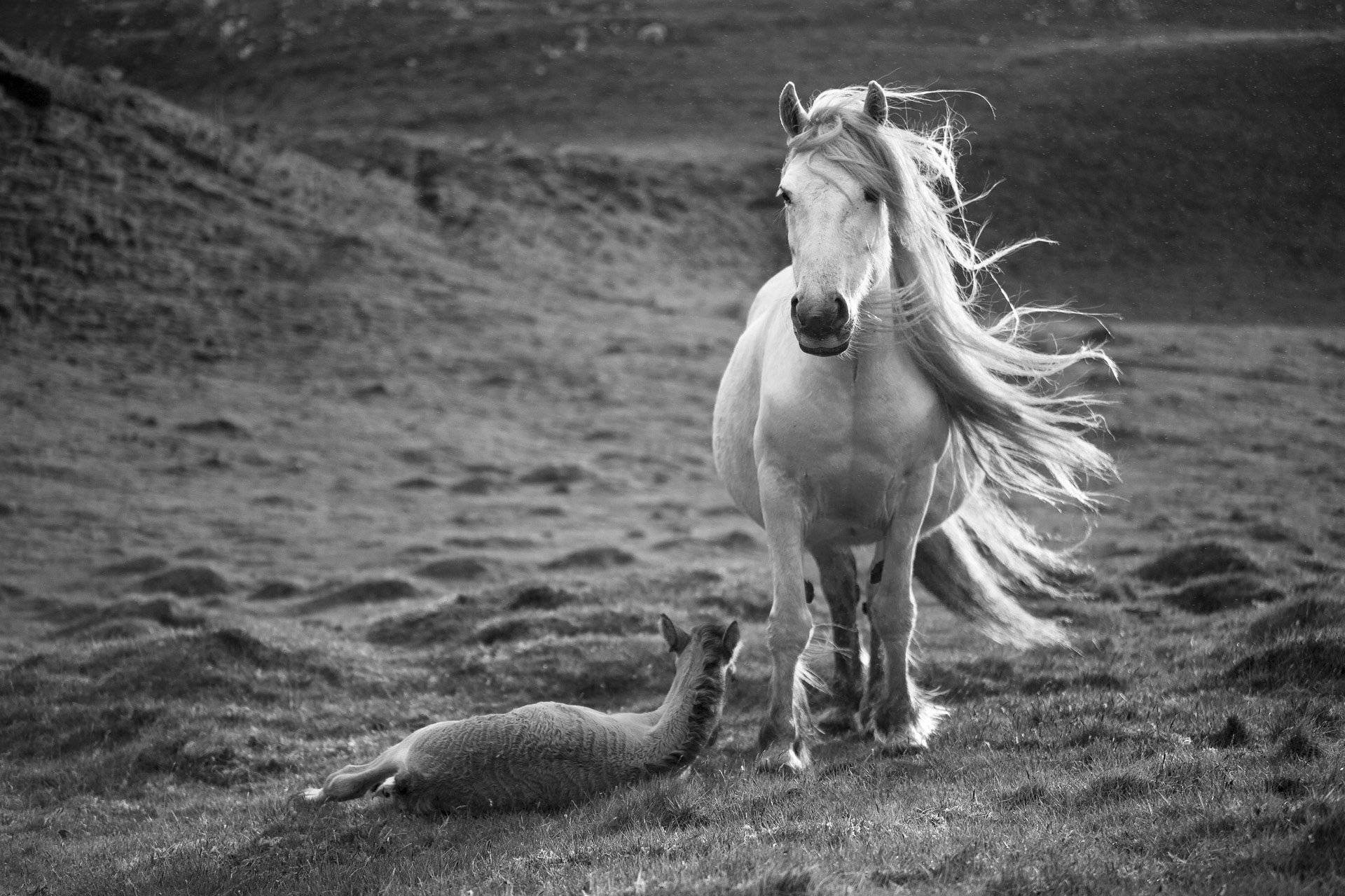 Princesse à l'enfant
