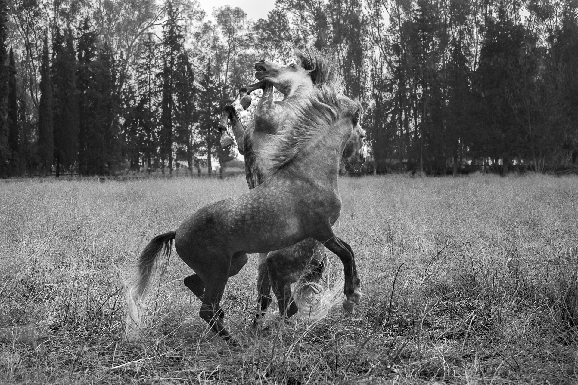 Equilibre impossible