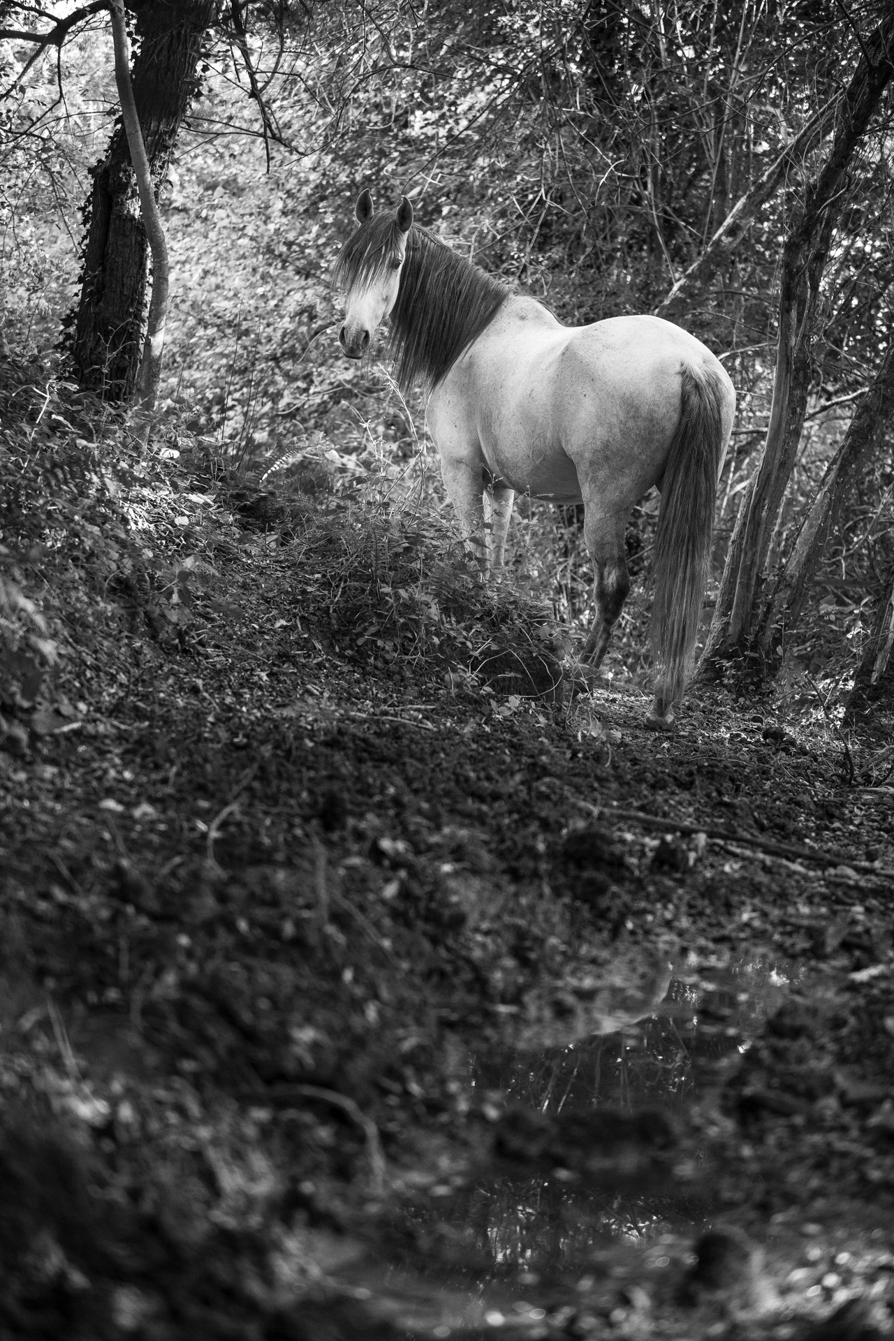 L'entrée d'un monde