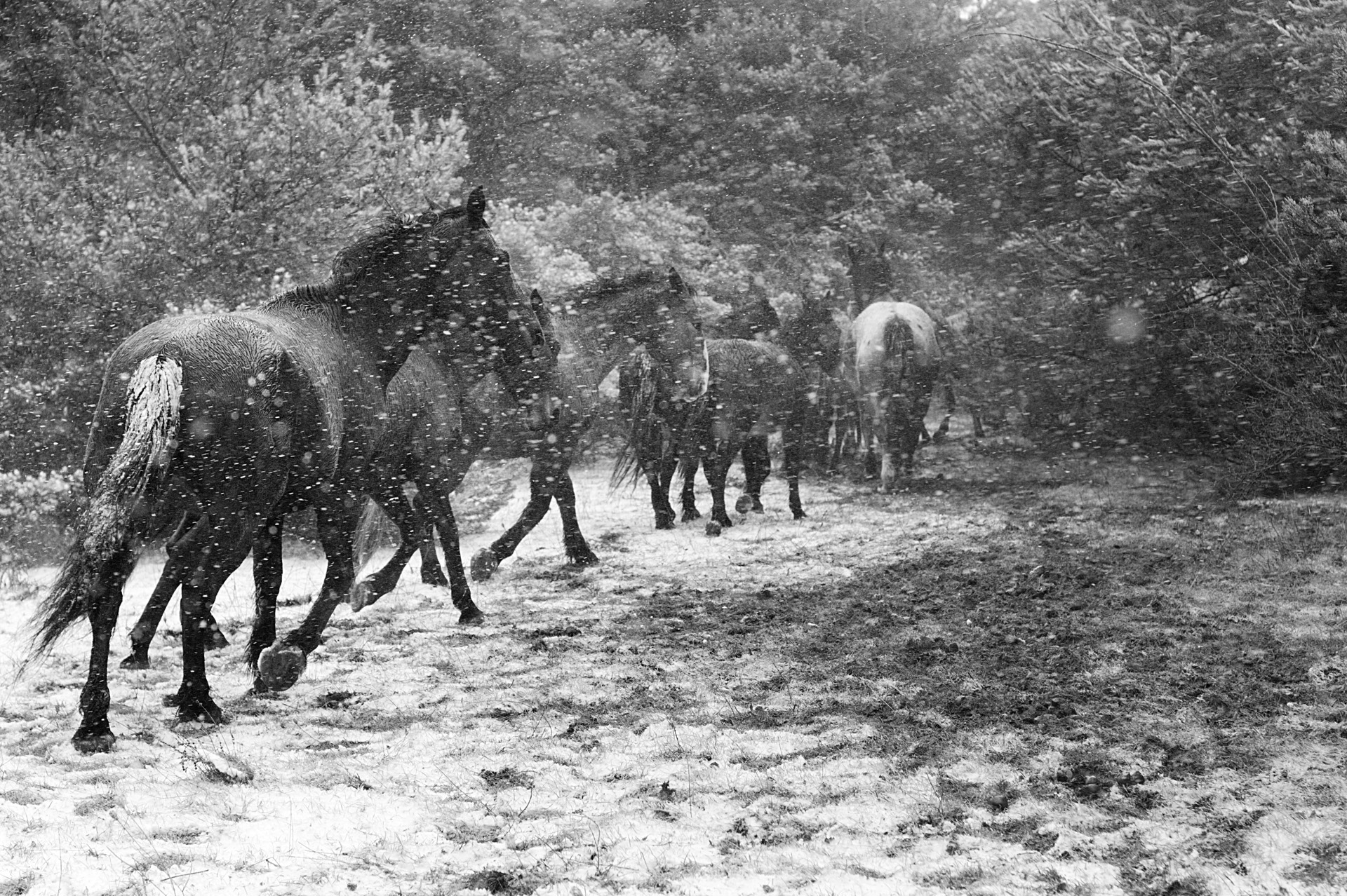 Fuite dans la tempête