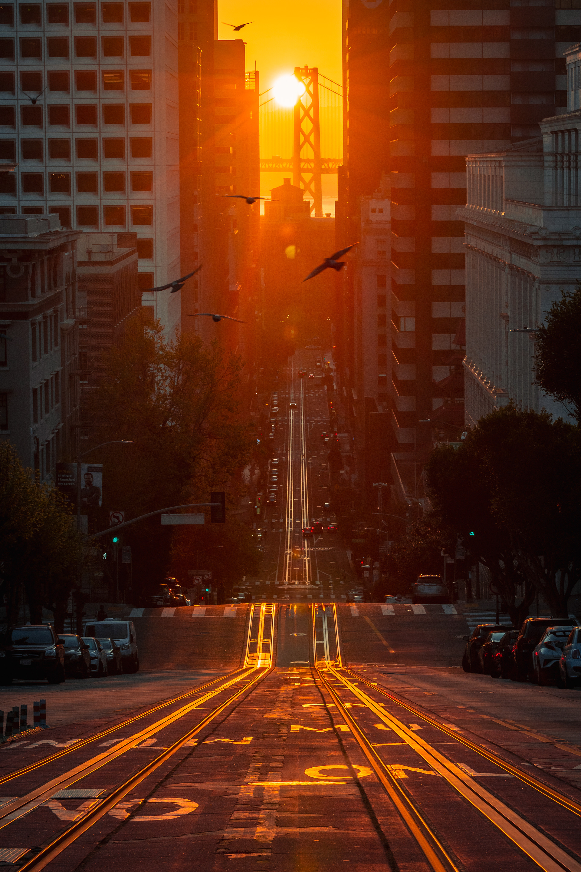 Californiahenge 2024