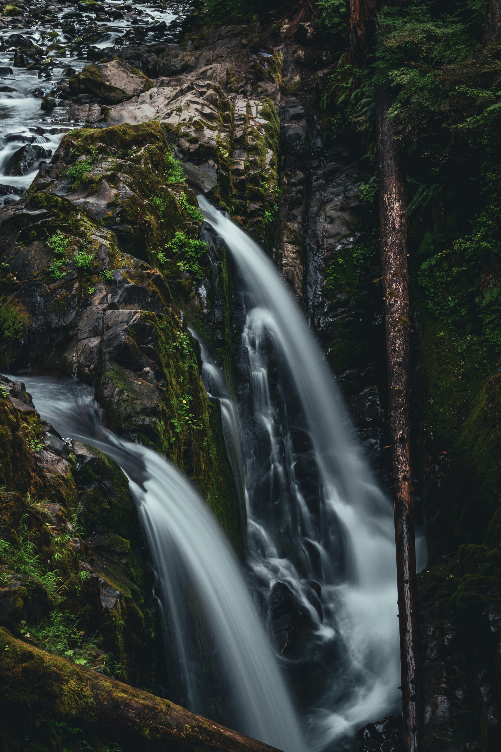 Sol Duc Falls, Olympic National Park - Washington