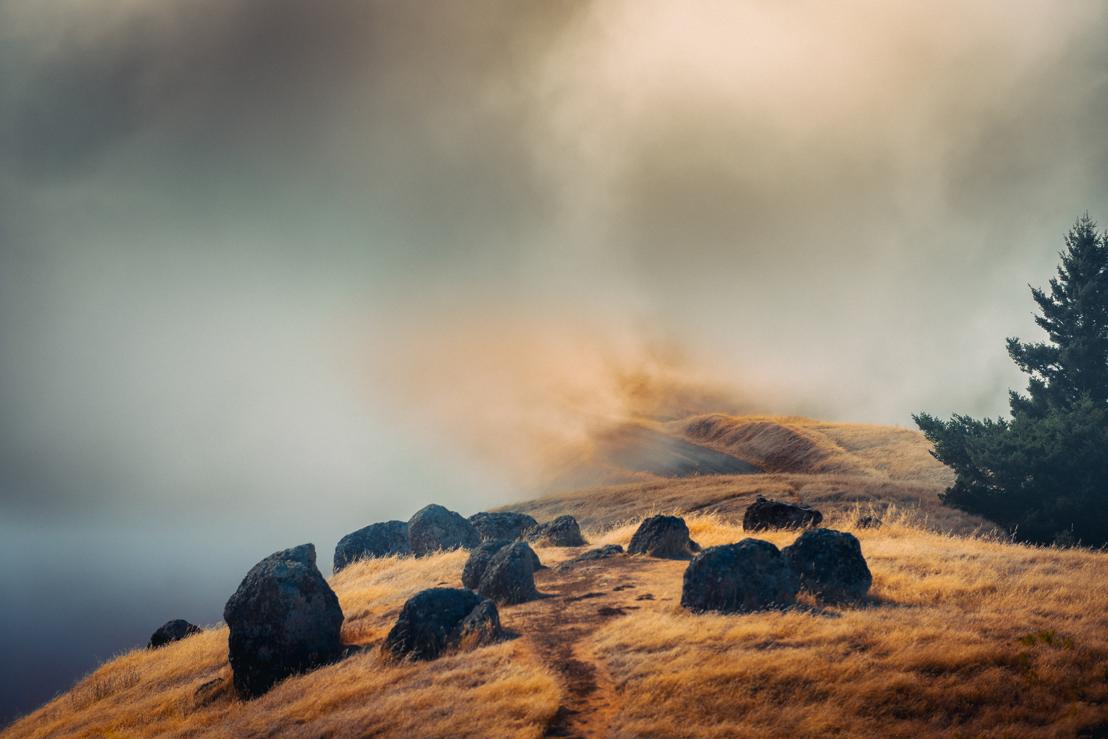 Mount Tamalpias in the fog - Marin Headlands