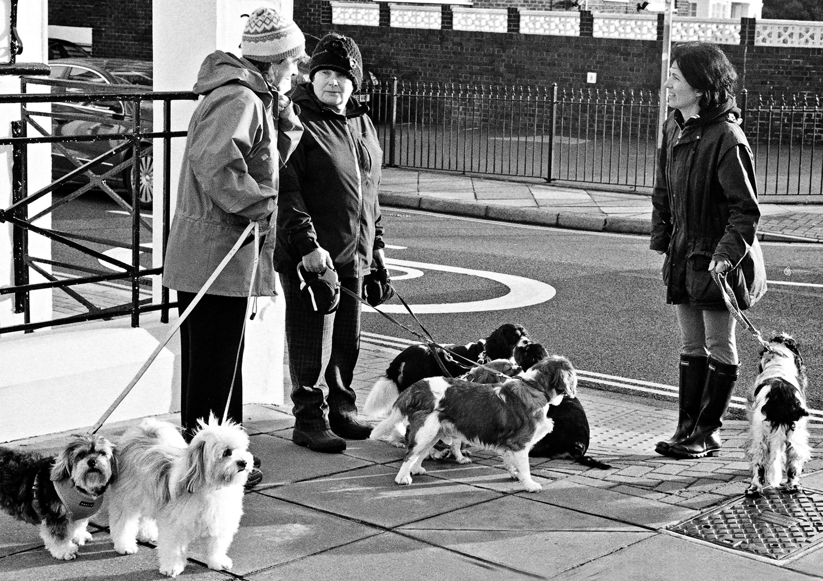 Dog Talk, Southsea