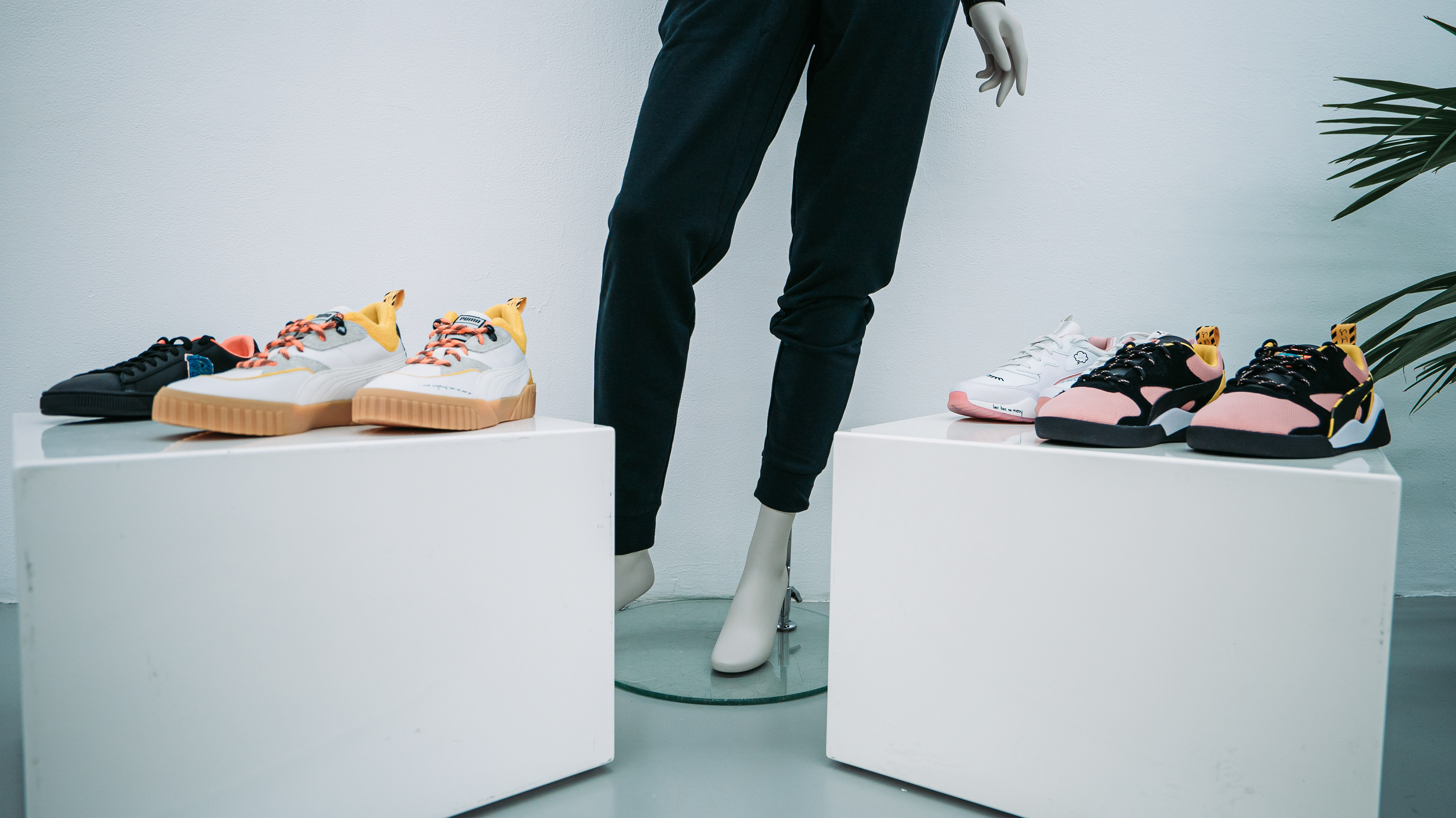 Puma