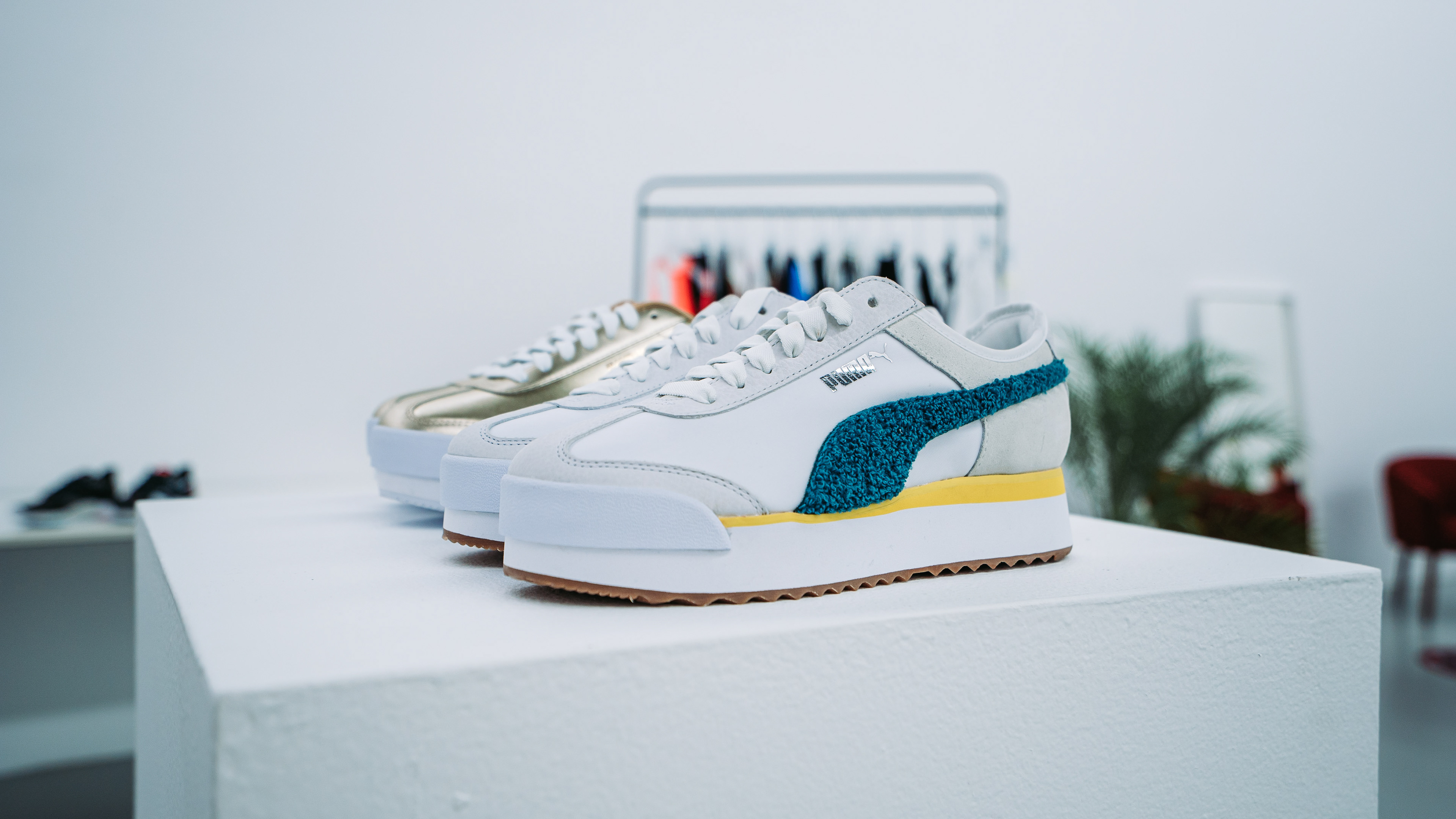 Puma