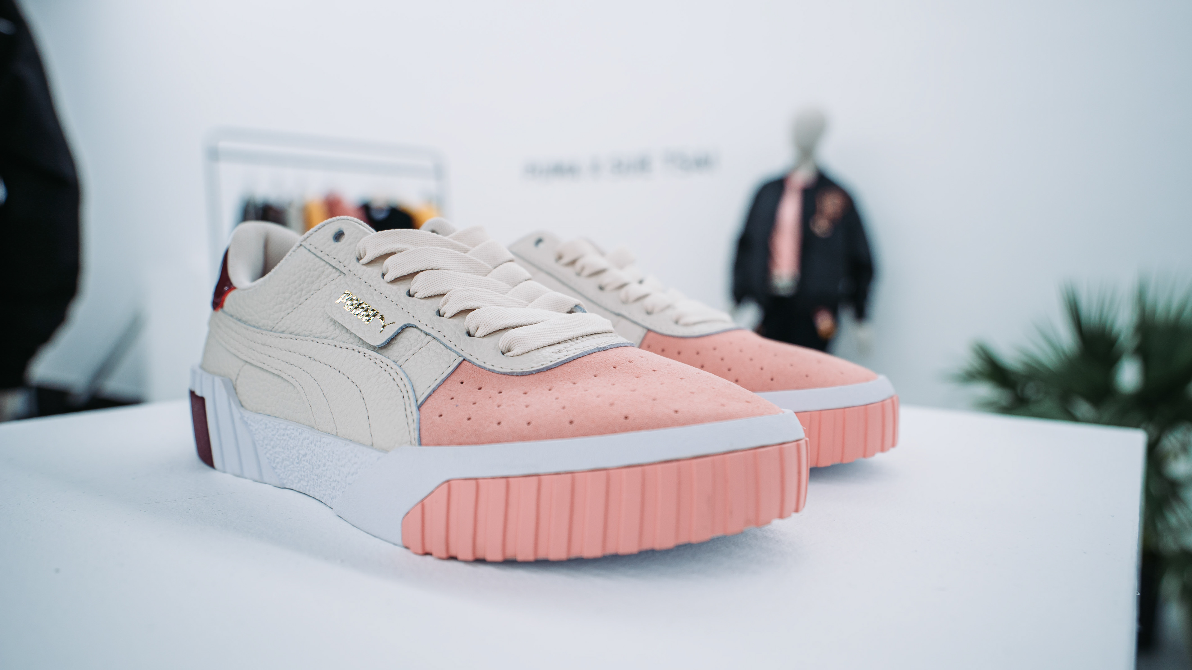 Puma