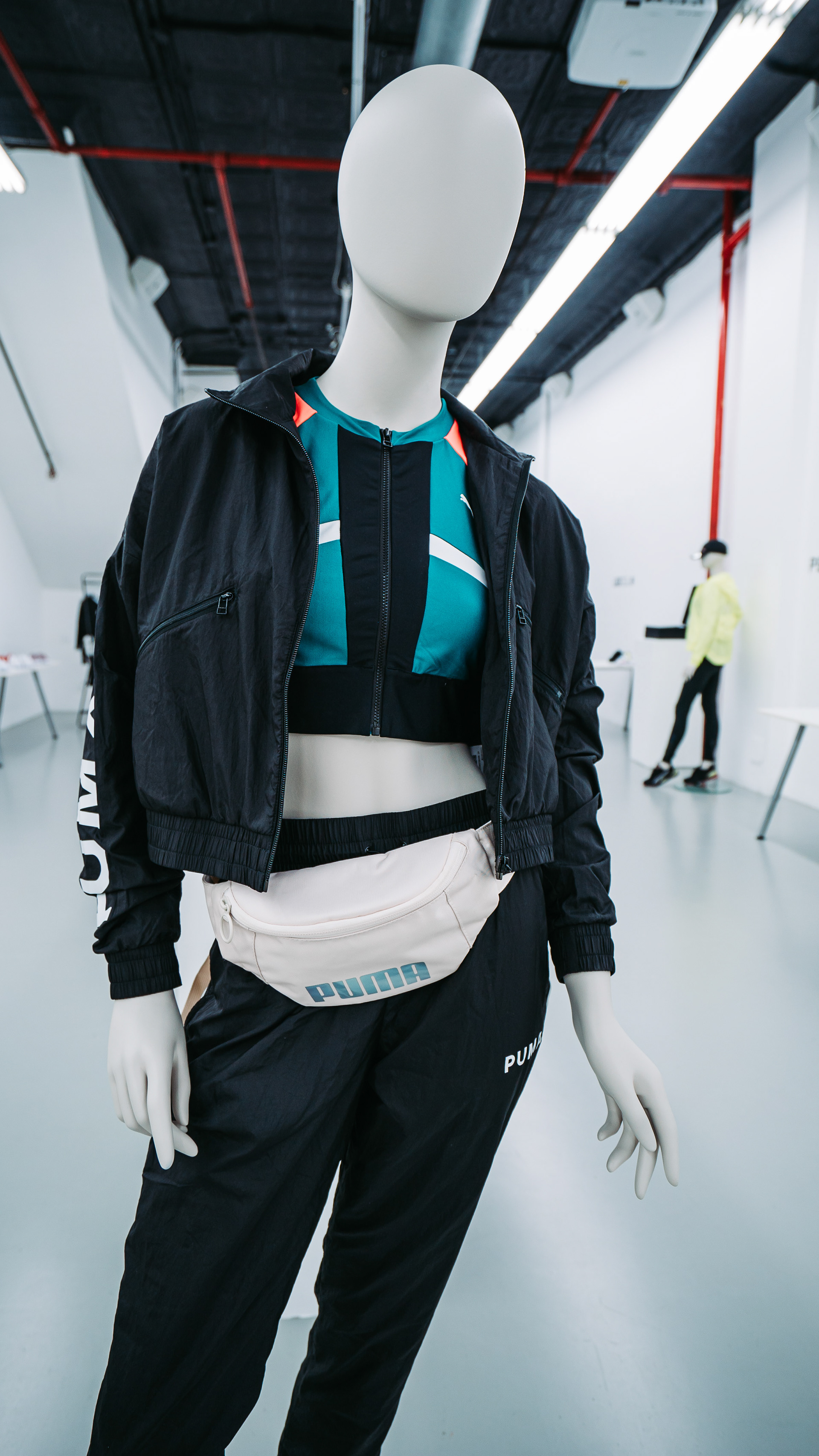 Puma